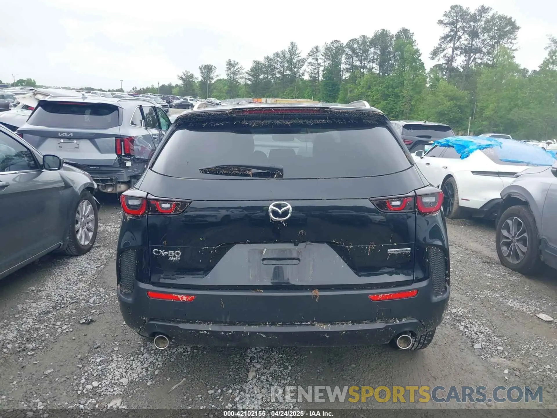 16 Photograph of a damaged car 7MMVABBMXRN171661 MAZDA CX-50 2024