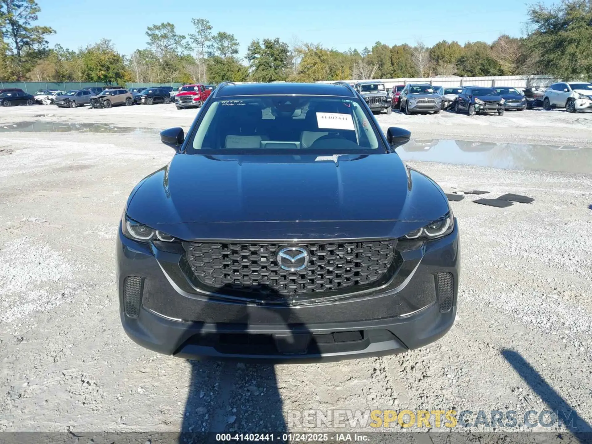 12 Photograph of a damaged car 7MMVABDM1RN203717 MAZDA CX-50 2024