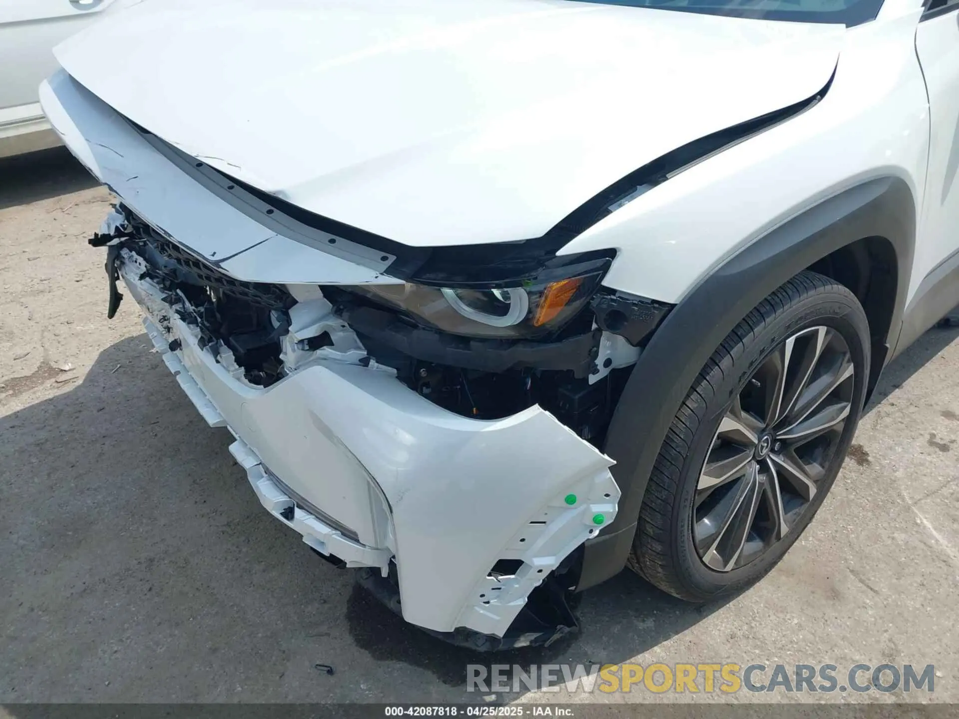 6 Photograph of a damaged car 7MMVABDY4RN214648 MAZDA CX-50 2024