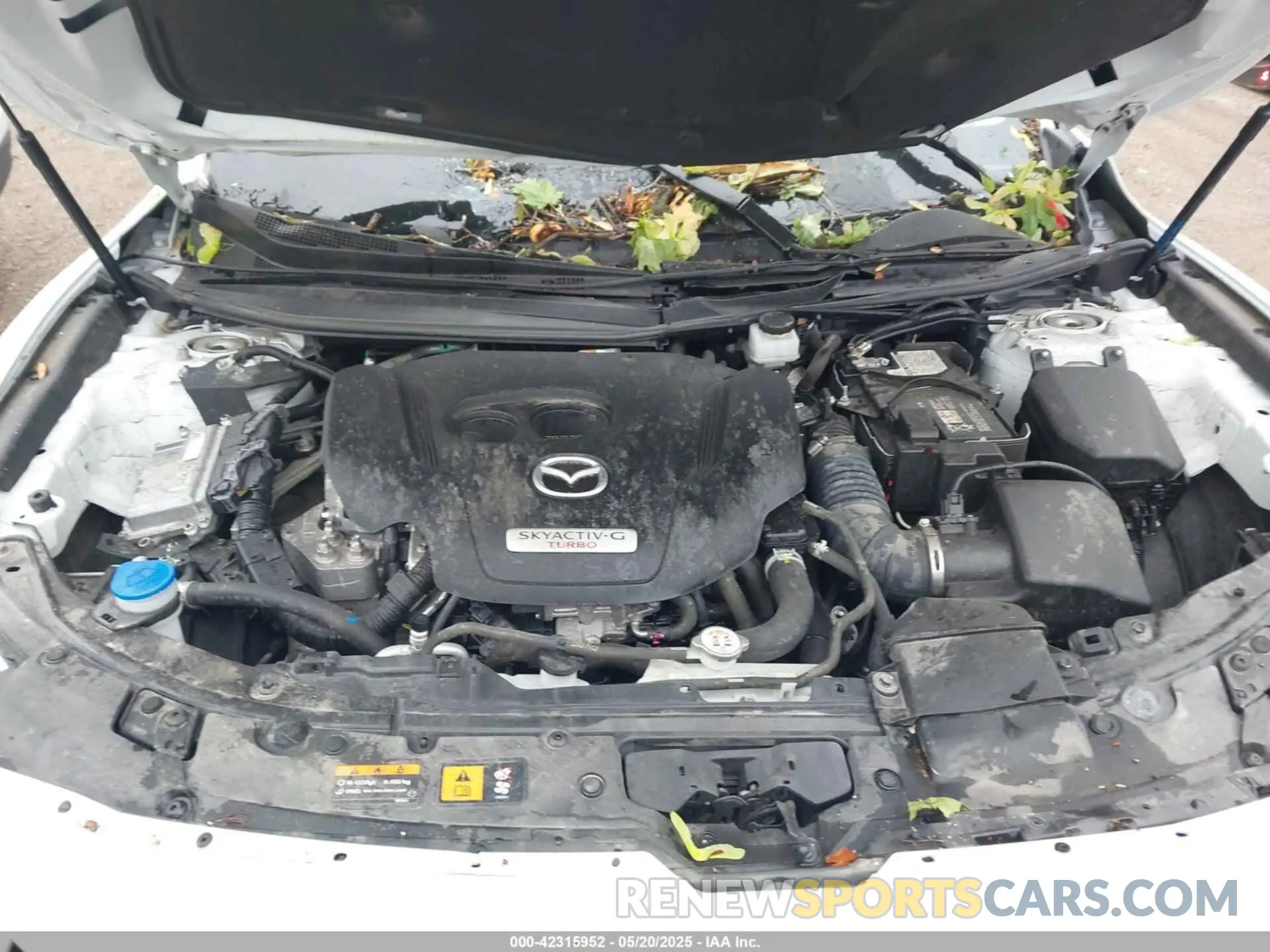 10 Photograph of a damaged car 7MMVABXY5RN179095 MAZDA CX-50 2024
