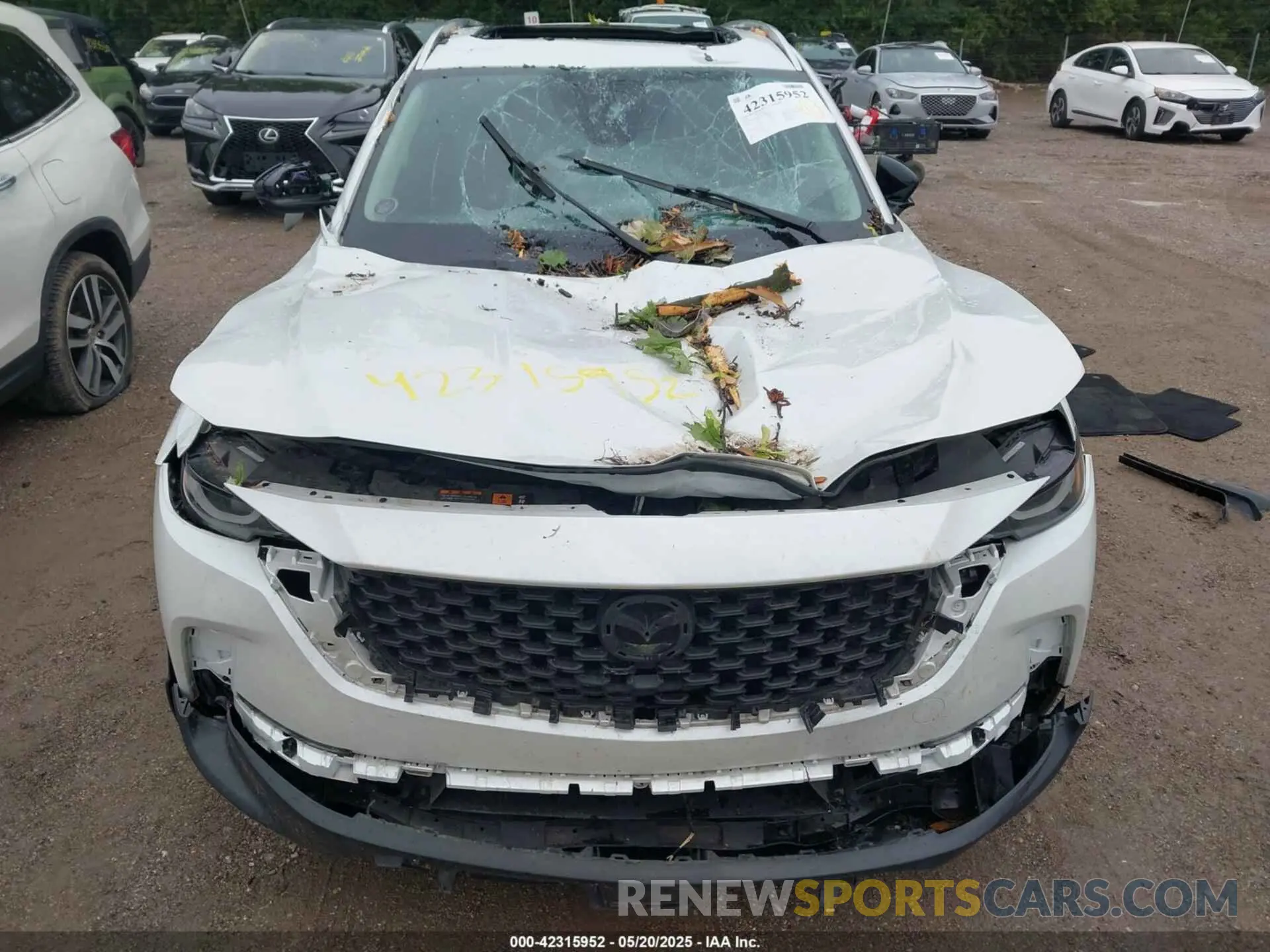 12 Photograph of a damaged car 7MMVABXY5RN179095 MAZDA CX-50 2024