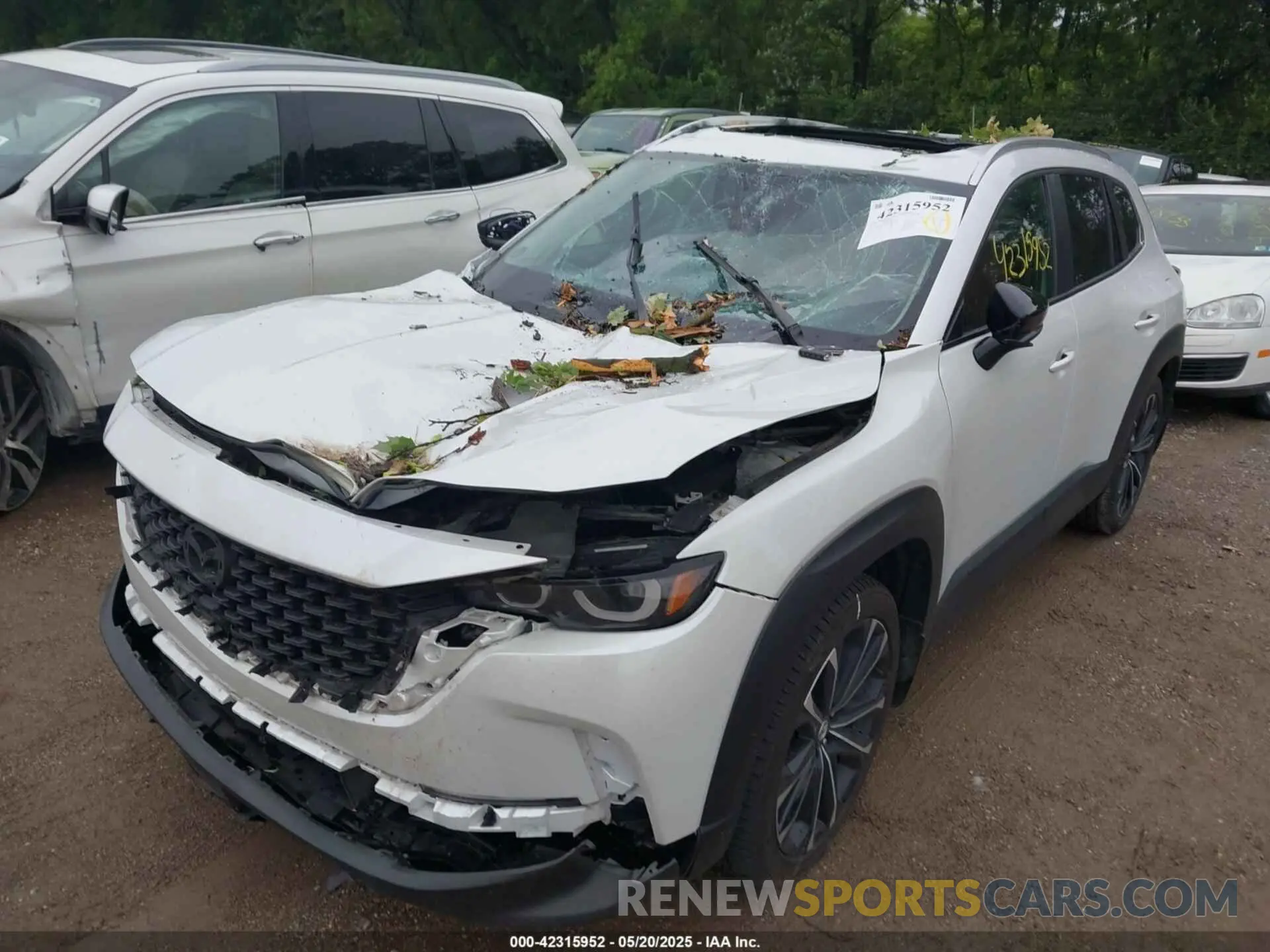 6 Photograph of a damaged car 7MMVABXY5RN179095 MAZDA CX-50 2024