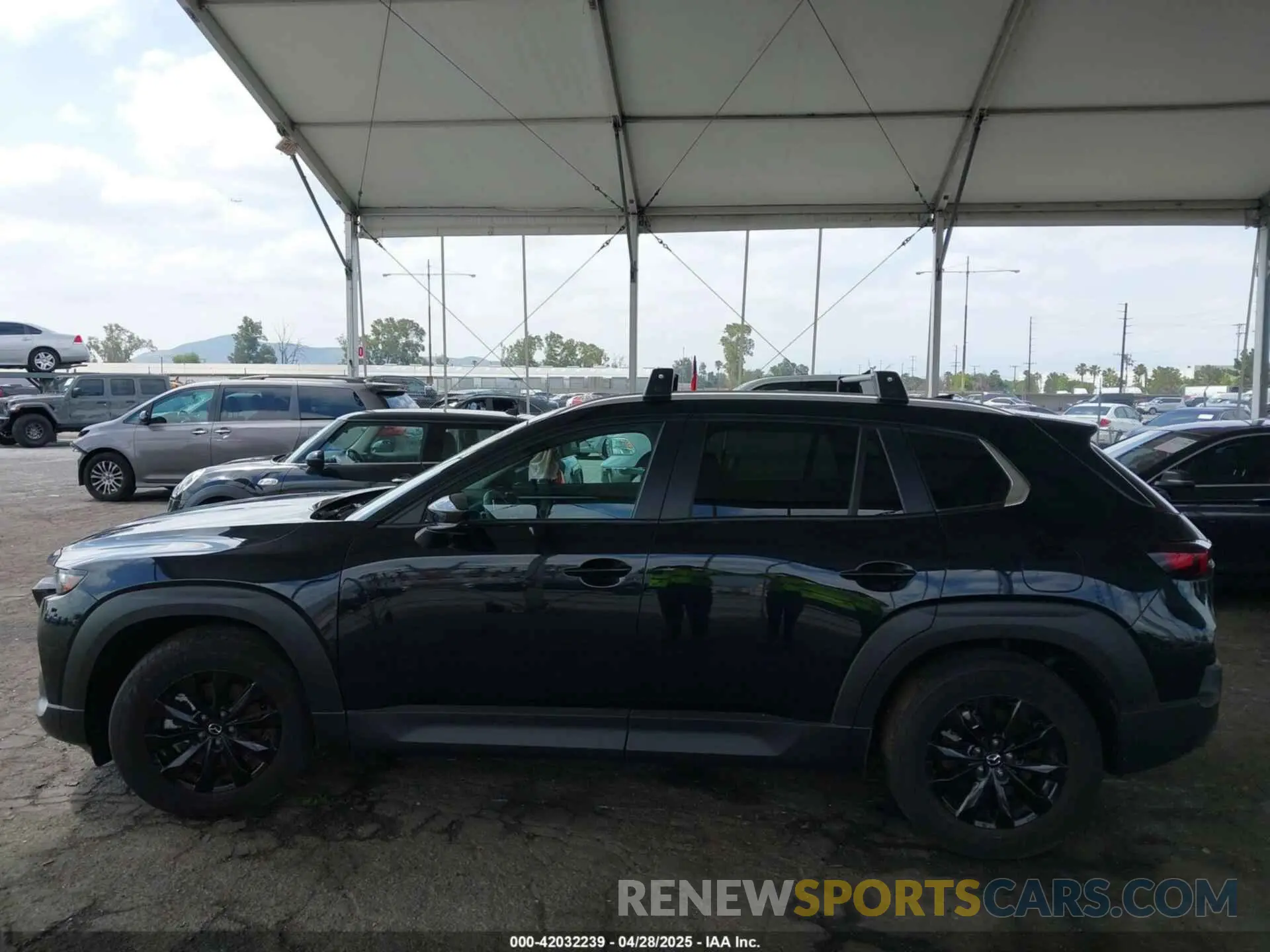 14 Photograph of a damaged car 7MMVABDM7SN316027 MAZDA CX-50 2025