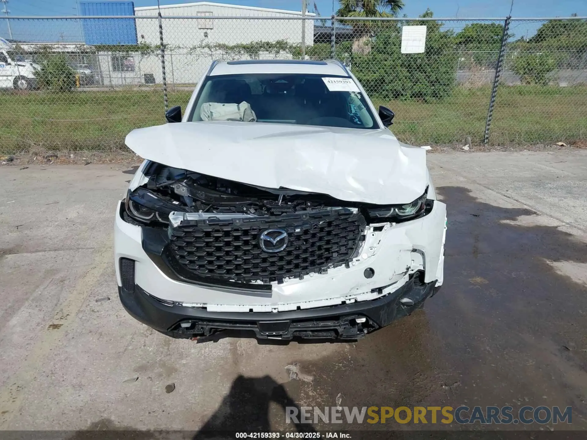 12 Photograph of a damaged car 7MMVABDM8SN335119 MAZDA CX-50 2025