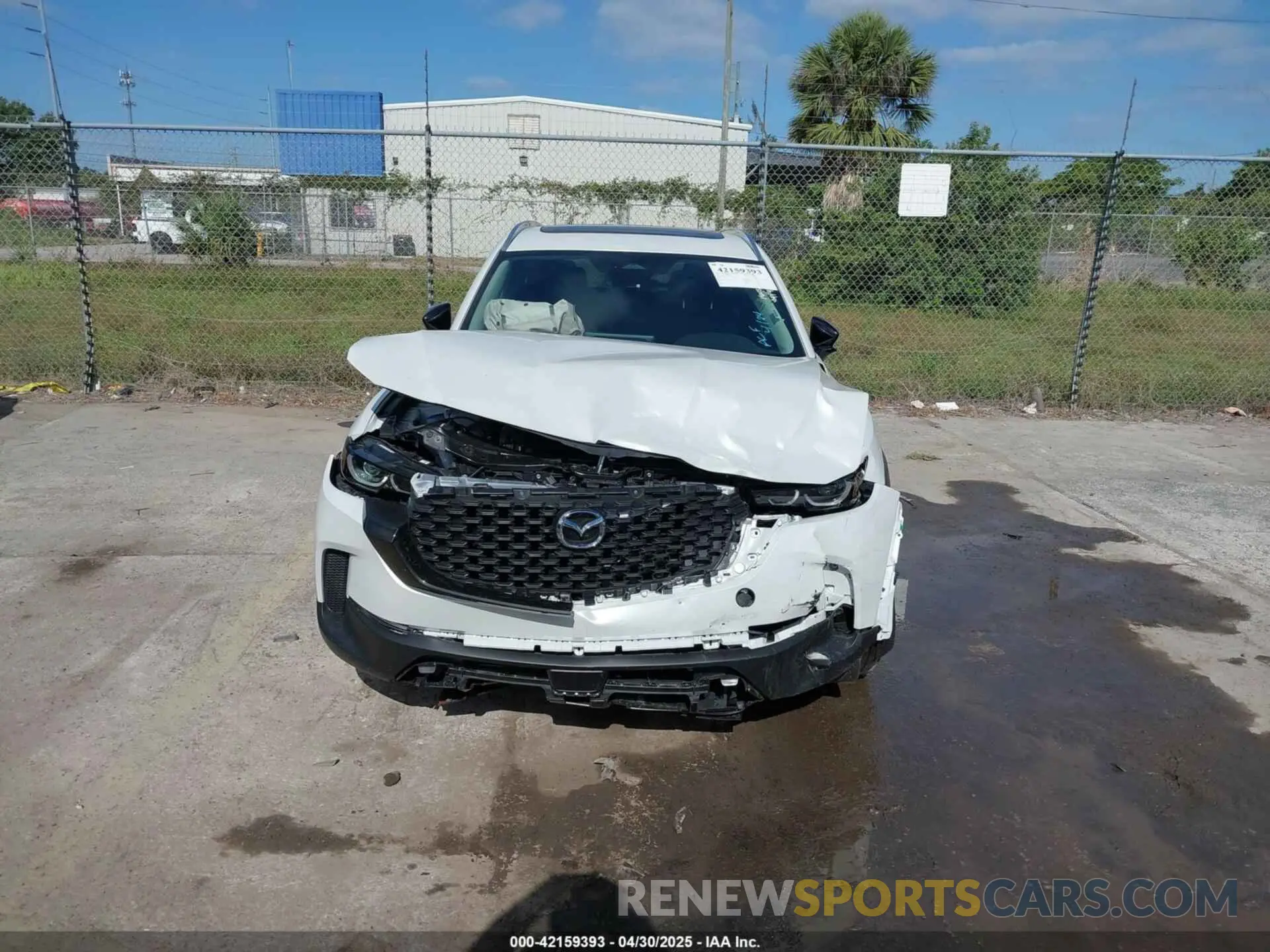 6 Photograph of a damaged car 7MMVABDM8SN335119 MAZDA CX-50 2025