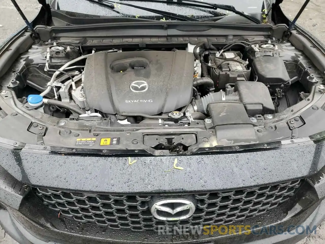 12 Photograph of a damaged car 7MMVABCM5PN130477 MAZDA CX-50 PREF 2023