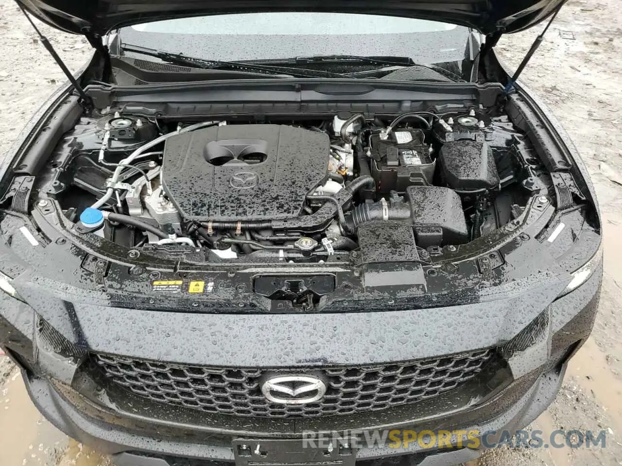 12 Photograph of a damaged car 7MMVABDM7SN316030 MAZDA CX-50 PREM 2025