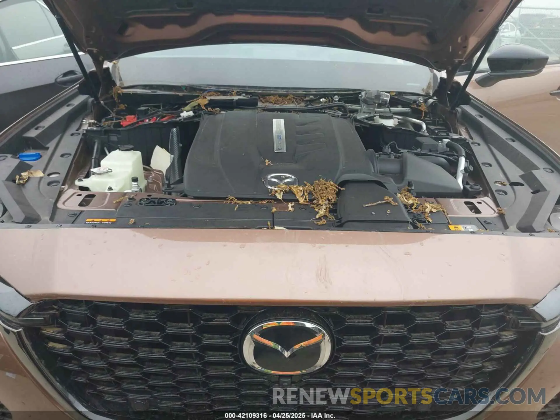 10 Photograph of a damaged car JM3KJEHA1S1111323 MAZDA CX-70 PHEV 2025