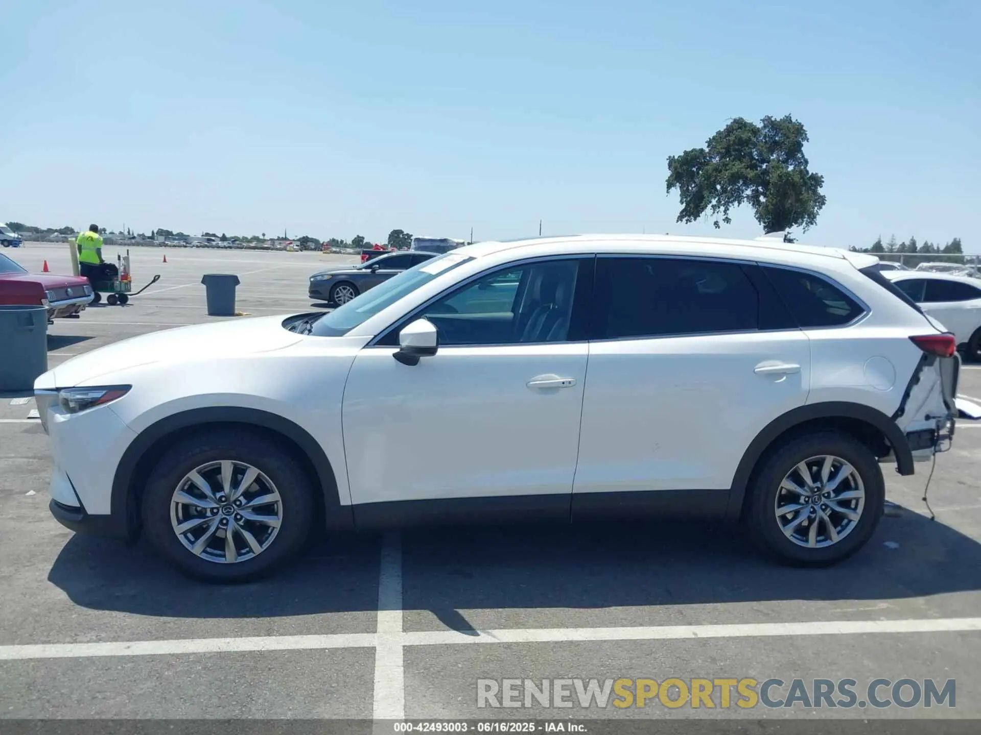 15 Photograph of a damaged car JM3TCACY8K0300956 MAZDA CX-9 2019