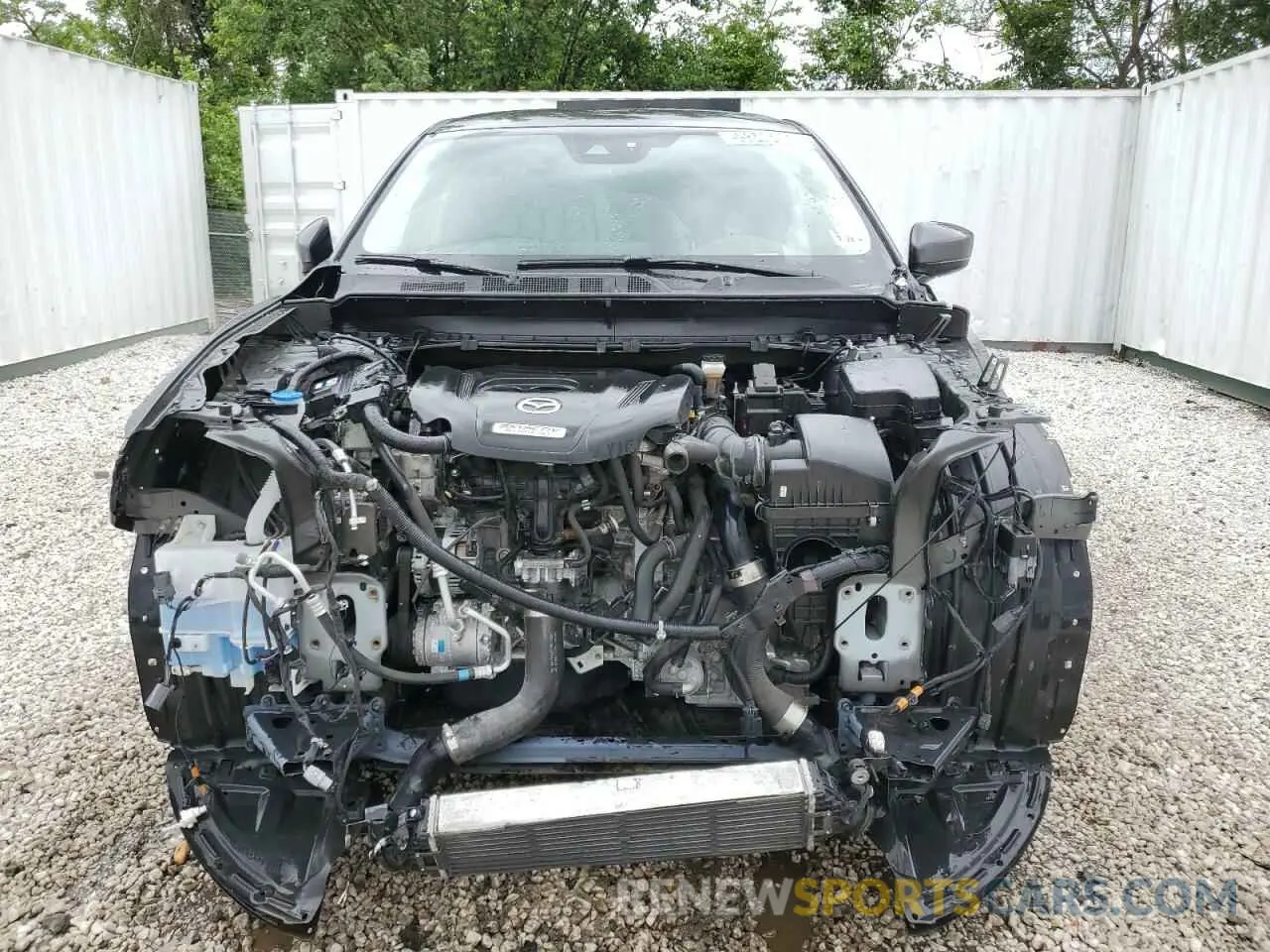 5 Photograph of a damaged car JM3TCBCY9K0308487 MAZDA CX-9 2019