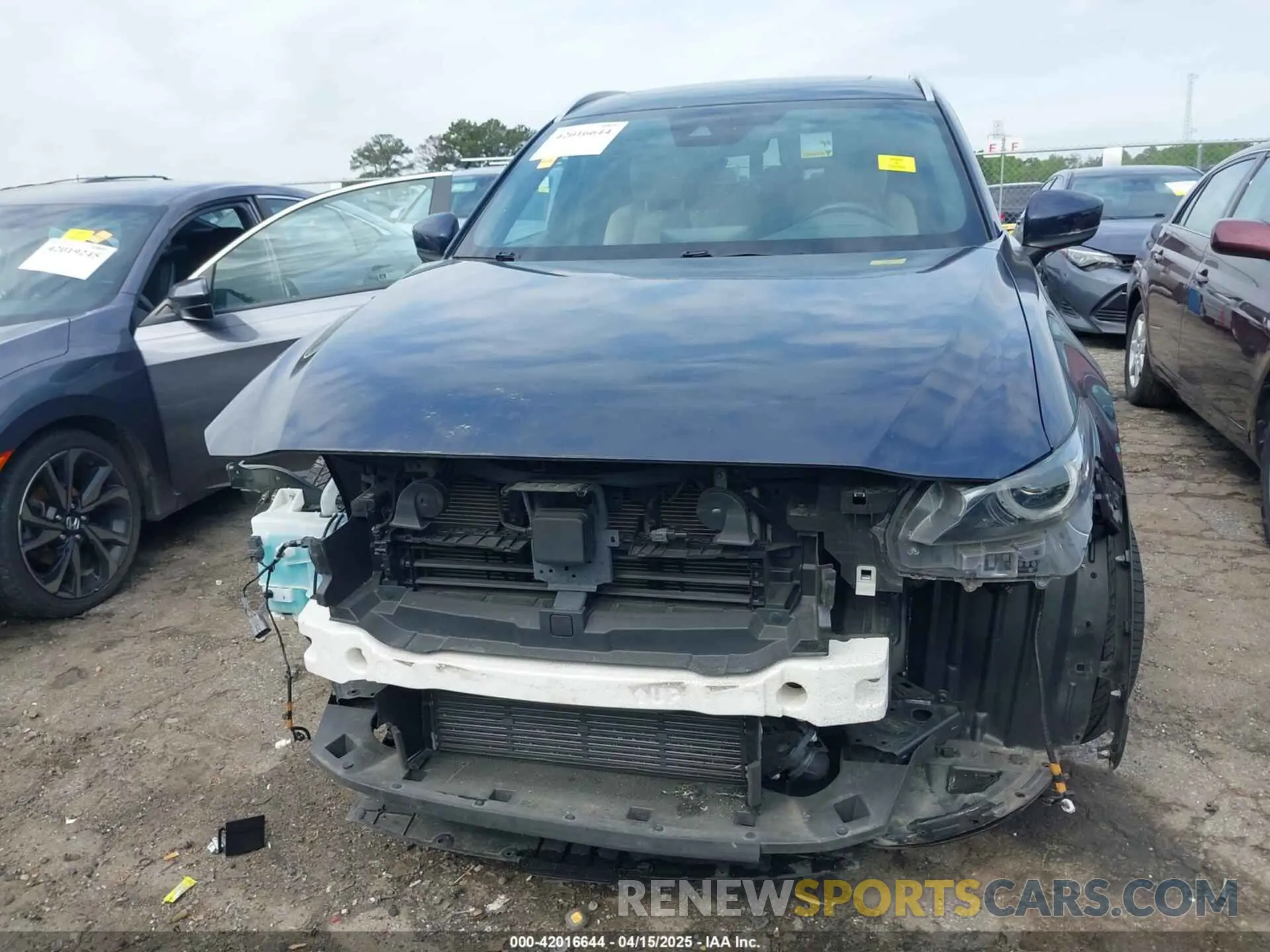 13 Photograph of a damaged car JM3TCADY1M0516505 MAZDA CX-9 2021