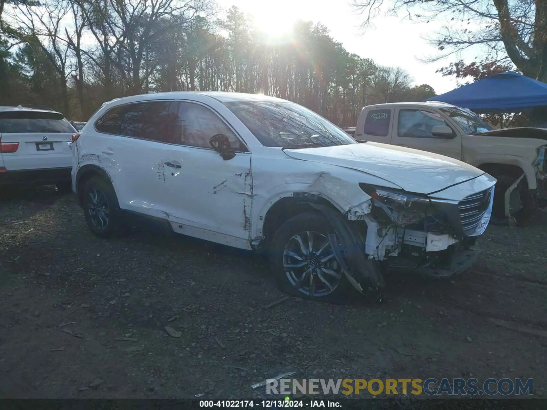 13 Photograph of a damaged car JM3TCBCY2M0525351 MAZDA CX-9 2021
