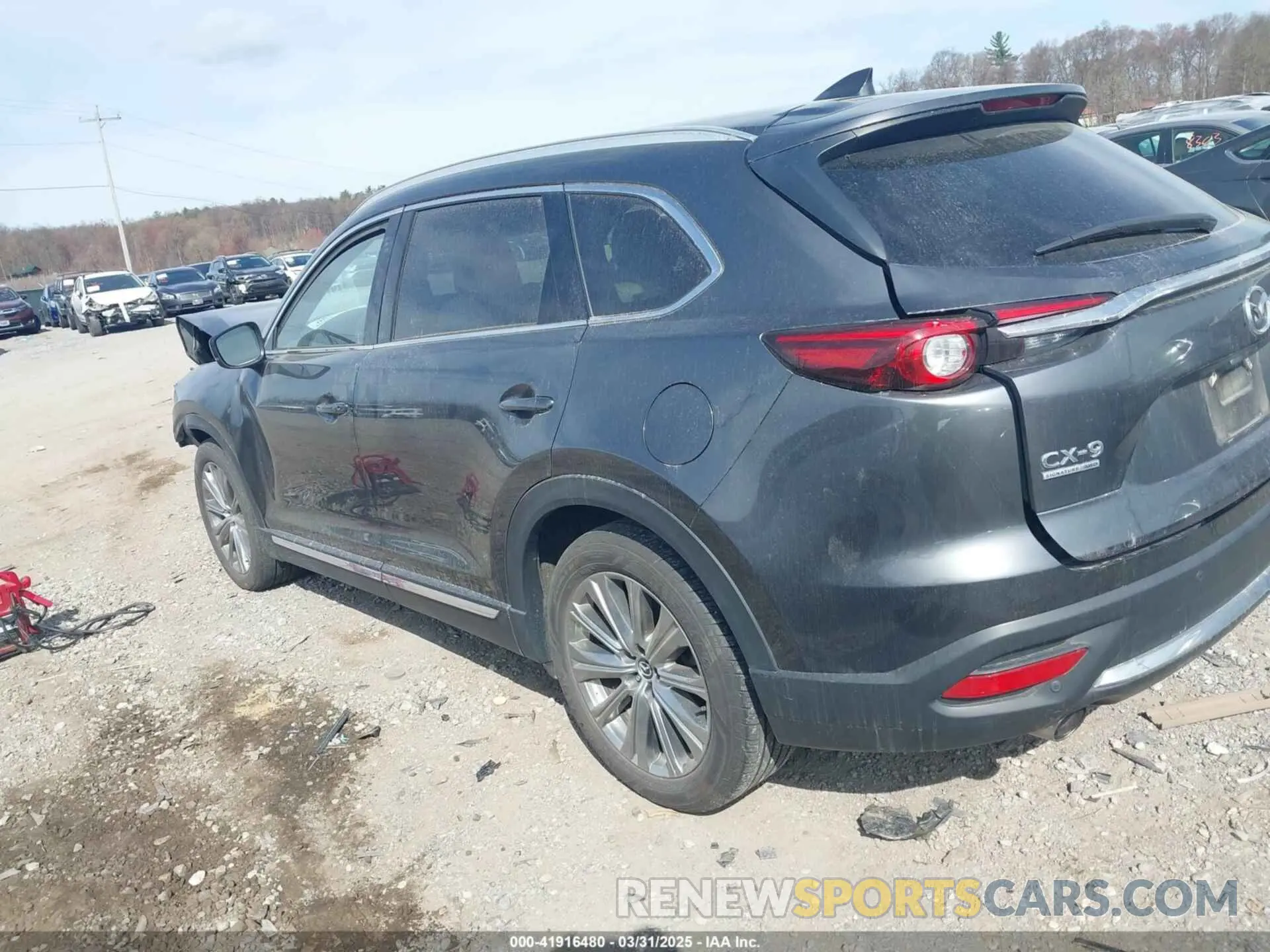3 Photograph of a damaged car JM3TCBEY5M0523199 MAZDA CX-9 2021