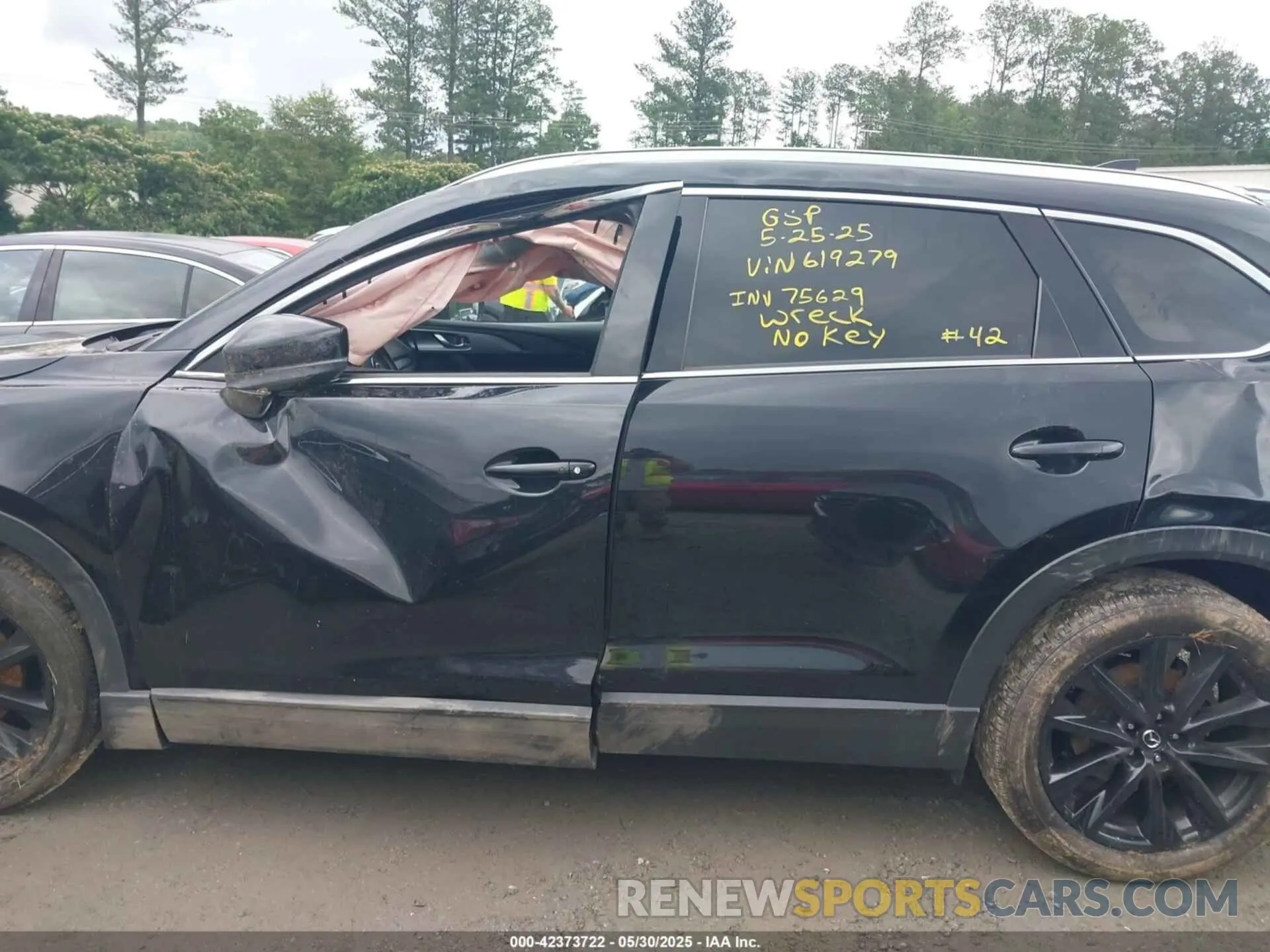 14 Photograph of a damaged car JM3TCBAY2N0619279 MAZDA CX-9 2022