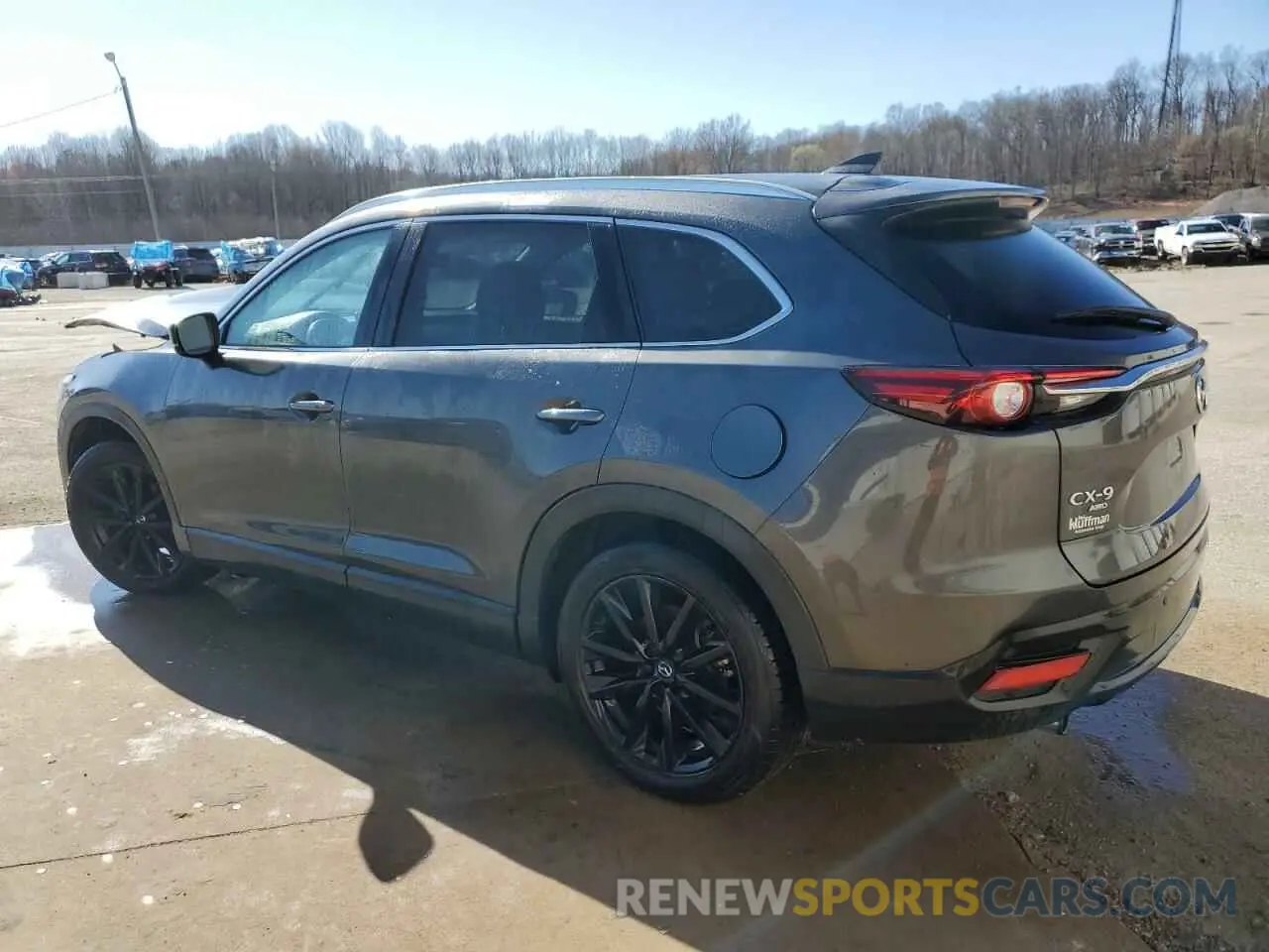 2 Photograph of a damaged car JM3TCBAY3N0609893 MAZDA CX-9 2022