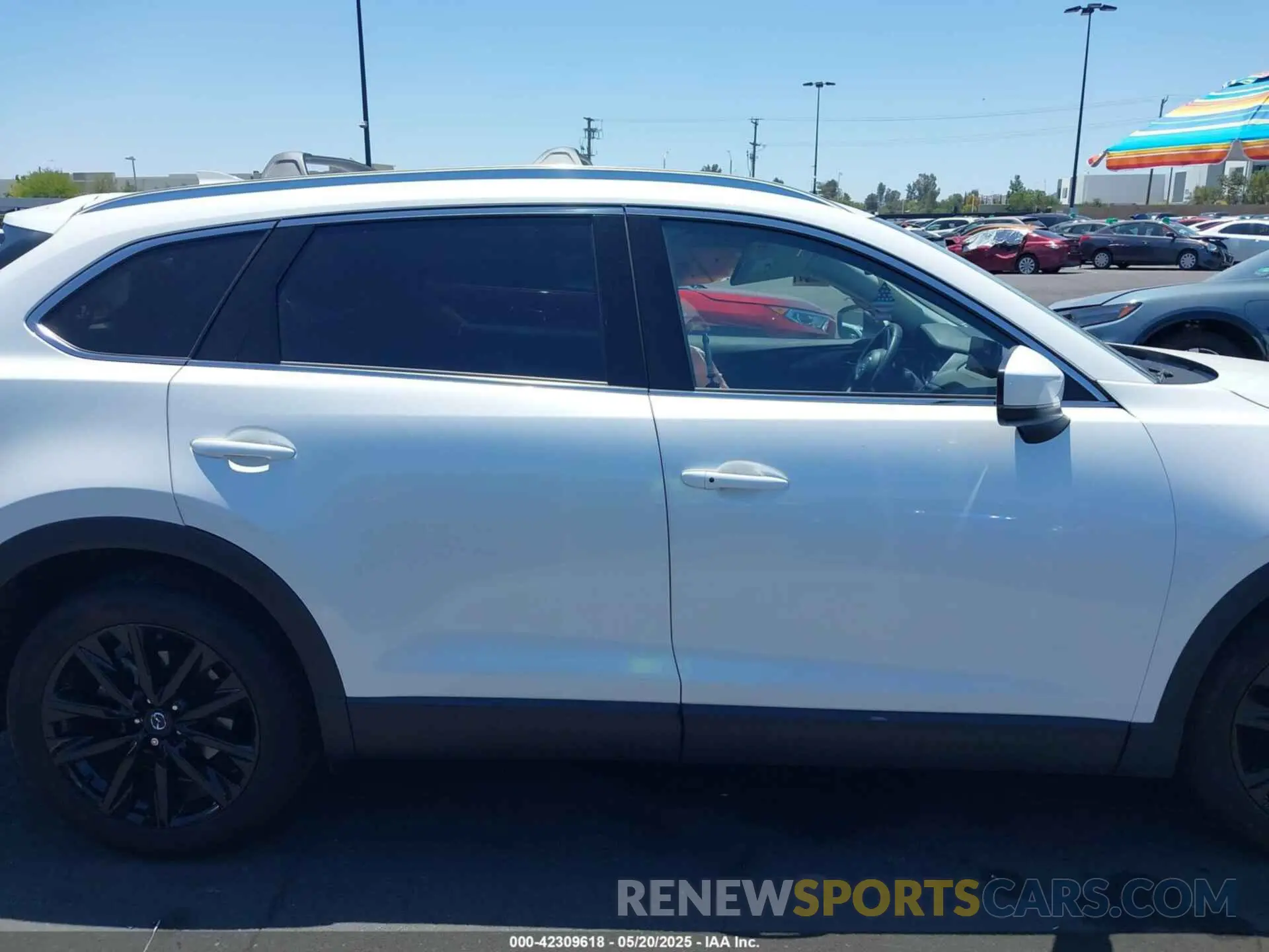 13 Photograph of a damaged car JM3TCBAY7P0636047 MAZDA CX-9 2023