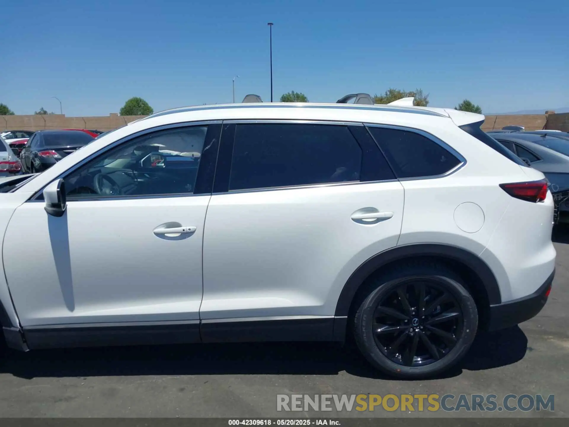 14 Photograph of a damaged car JM3TCBAY7P0636047 MAZDA CX-9 2023