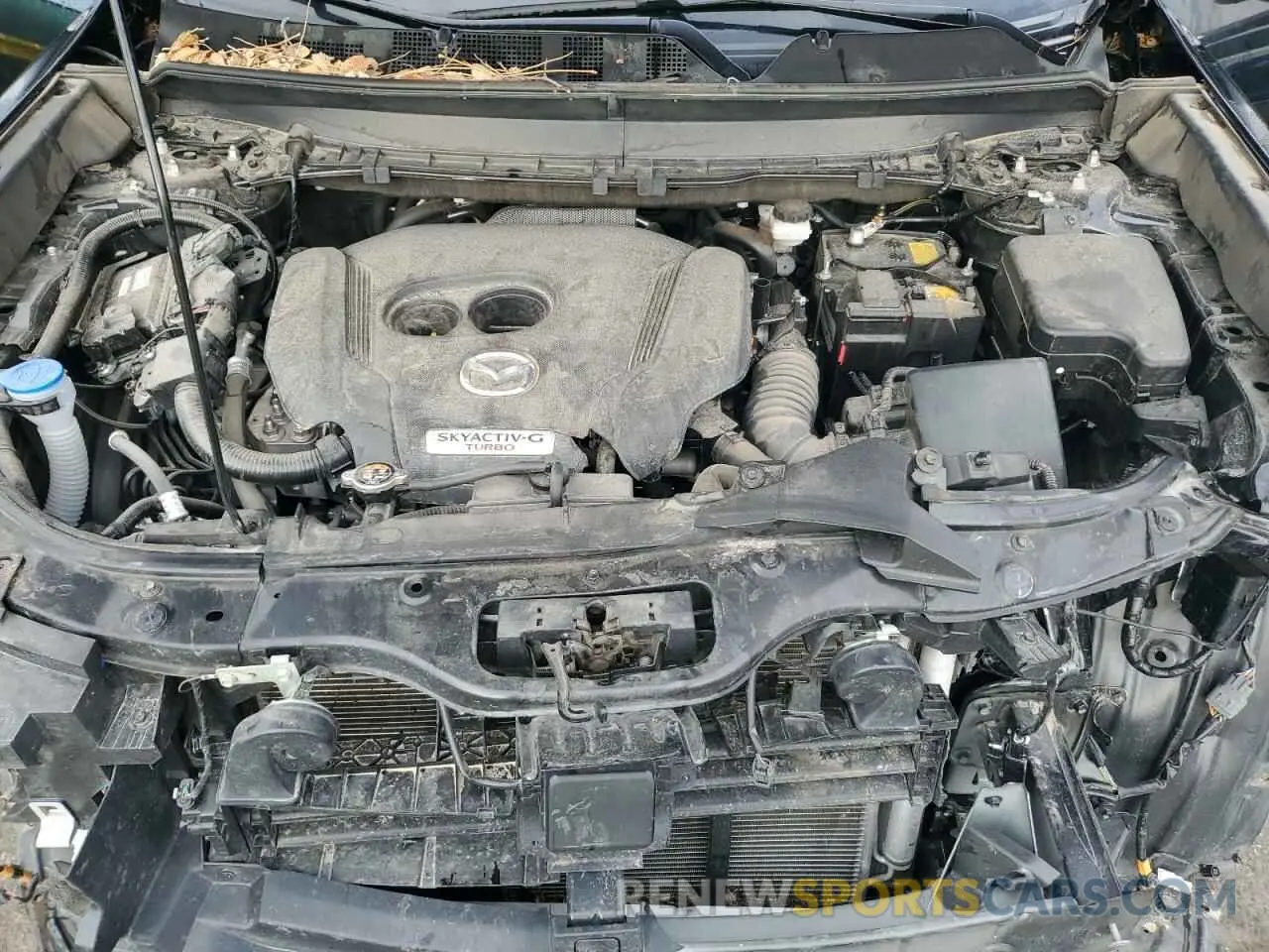13 Photograph of a damaged car JM3TCBCY4P0653899 MAZDA CX-9 2023