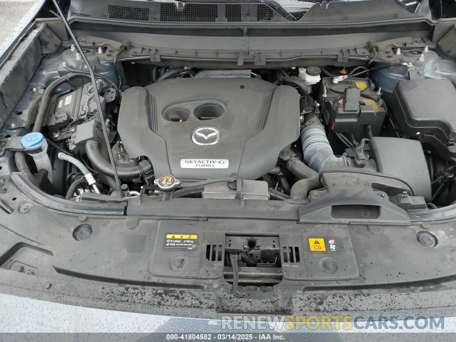 10 Photograph of a damaged car JM3TCBDY5P0636916 MAZDA CX-9 2023