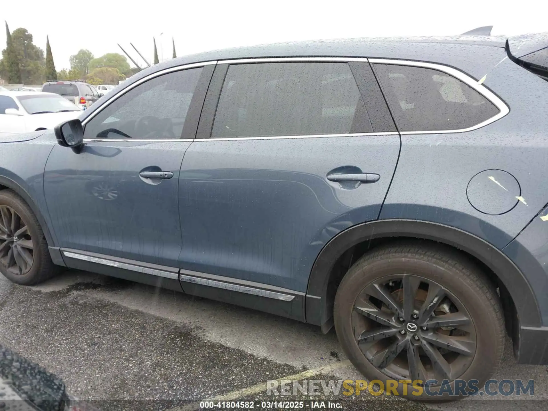 14 Photograph of a damaged car JM3TCBDY5P0636916 MAZDA CX-9 2023