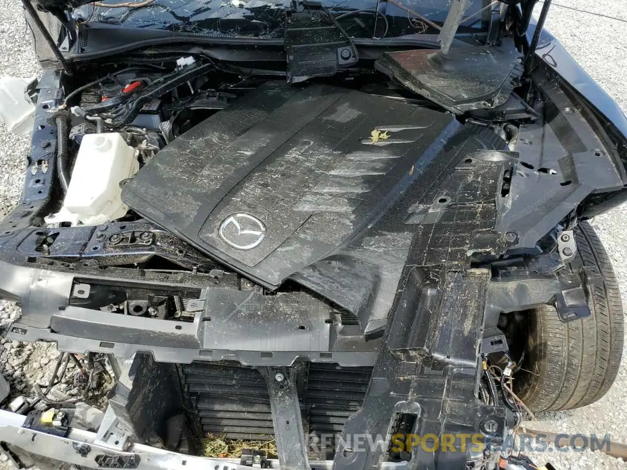 12 Photograph of a damaged car JM3KKAHDXR1181168 MAZDA CX-90 2024