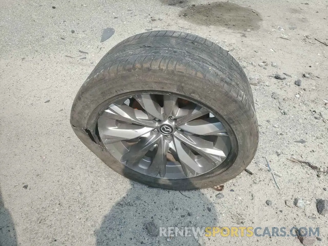 13 Photograph of a damaged car JM3KKEHD2S1209235 MAZDA CX-90 2025