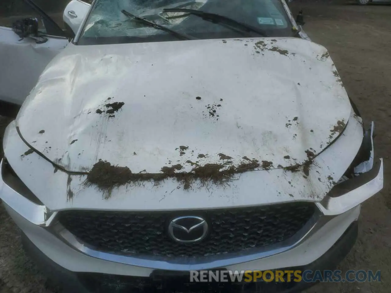 13 Photograph of a damaged car 3MVDMBBM4PM575967 MAZDA CX30 2023
