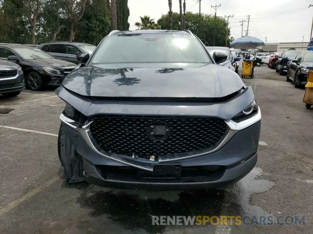 5 Photograph of a damaged car 3MVDMBCM5SM799059 MAZDA CX30 2025
