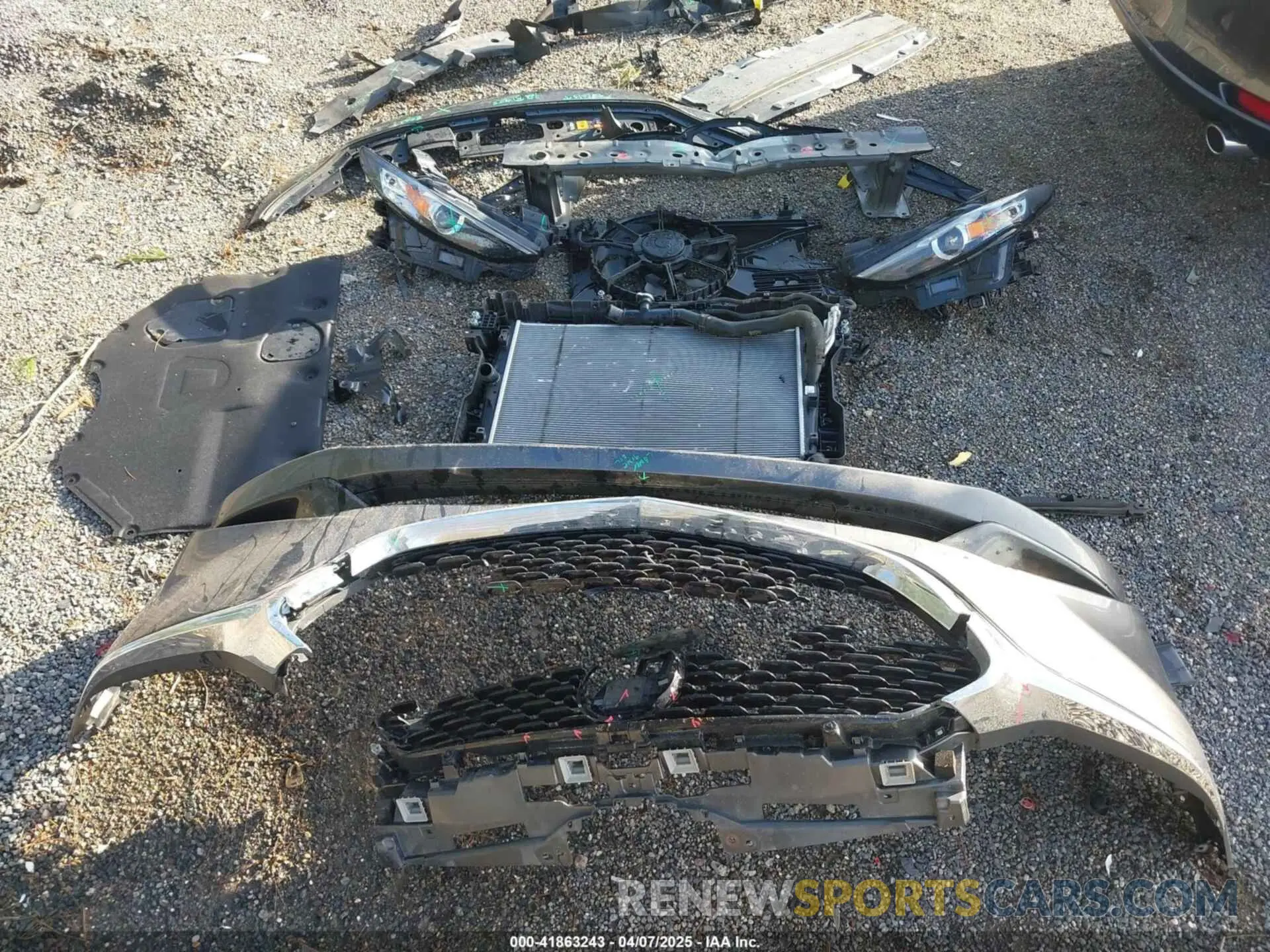 12 Photograph of a damaged car JM1BPACL1K1109354 MAZDA MAZDA3 2019