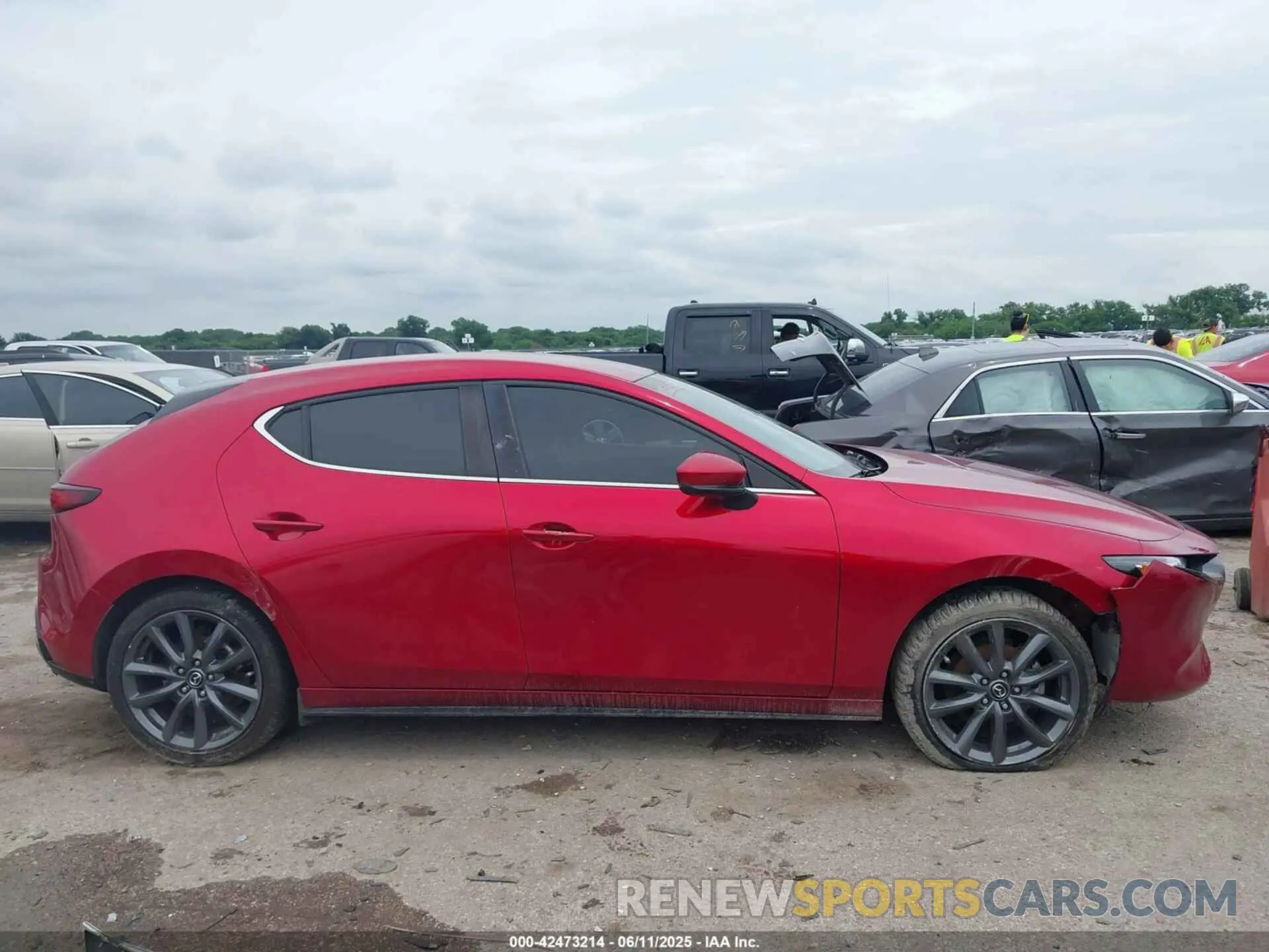 14 Photograph of a damaged car JM1BPAJM7K1133105 MAZDA MAZDA3 2019