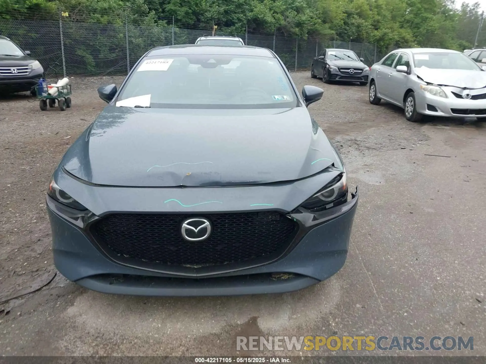 13 Photograph of a damaged car JM1BPANM1K1119355 MAZDA MAZDA3 2019