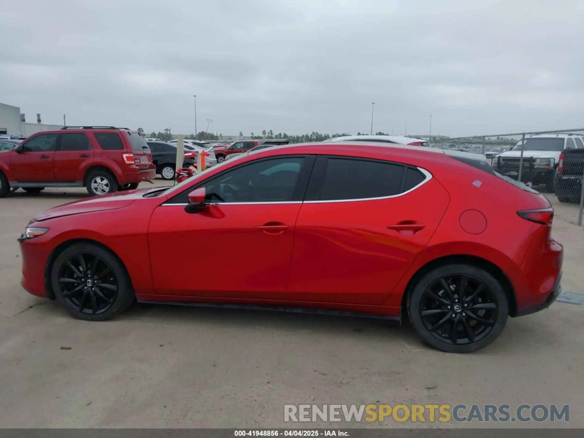 14 Photograph of a damaged car JM1BPANM3K1117462 MAZDA MAZDA3 2019