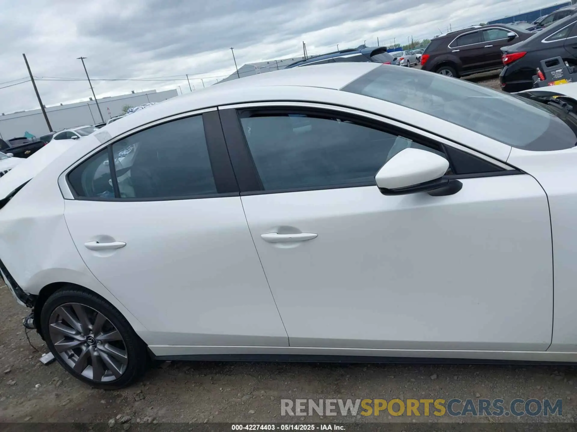 13 Photograph of a damaged car JM1BPBDM1K1116172 MAZDA MAZDA3 2019