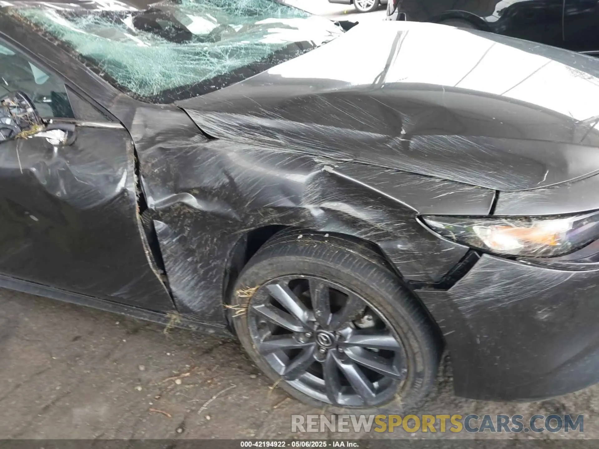 6 Photograph of a damaged car JM1BPALM0L1163707 MAZDA MAZDA3 2020