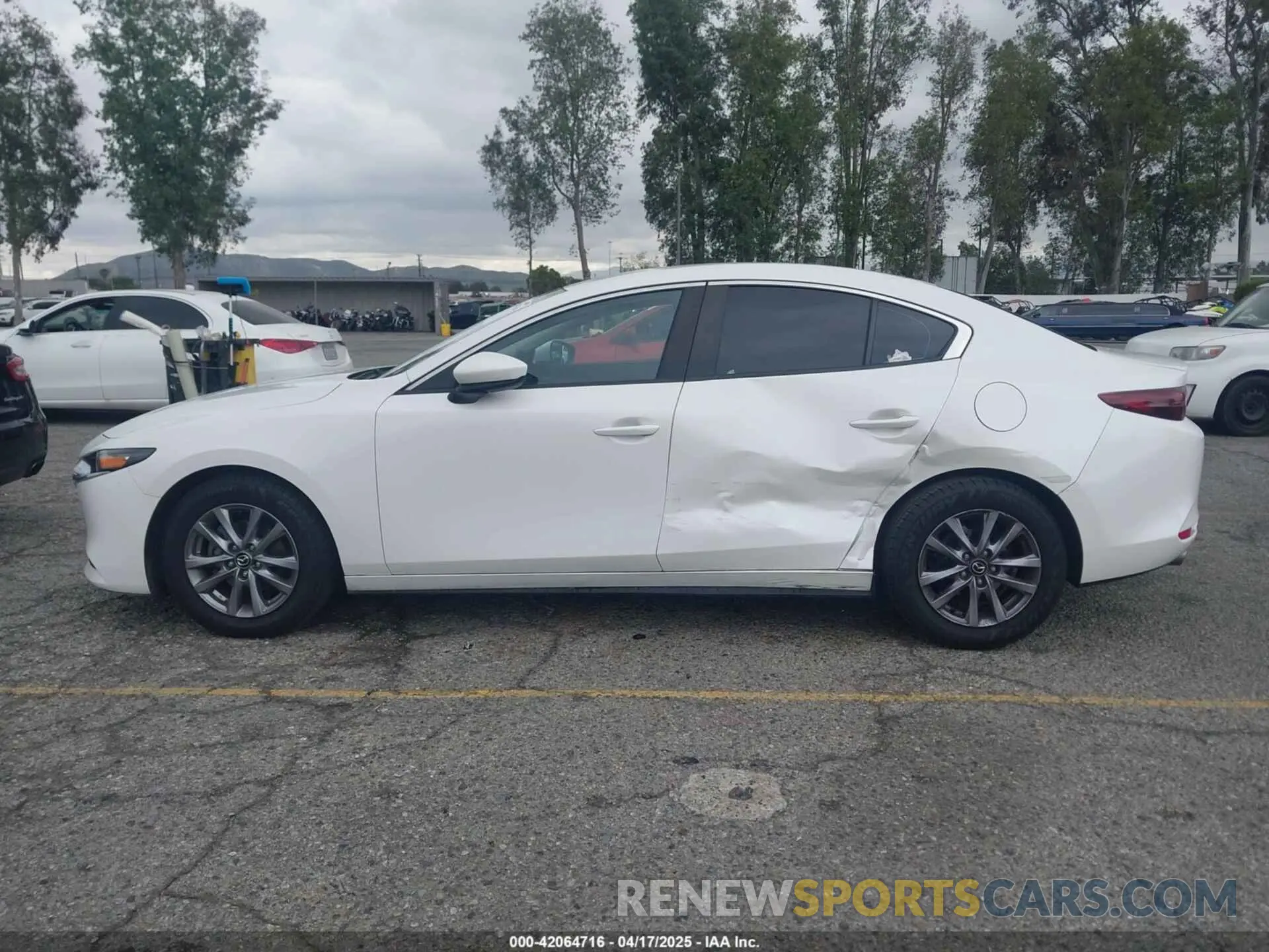 14 Photograph of a damaged car JM1BPAAL1M1327395 MAZDA MAZDA3 2021