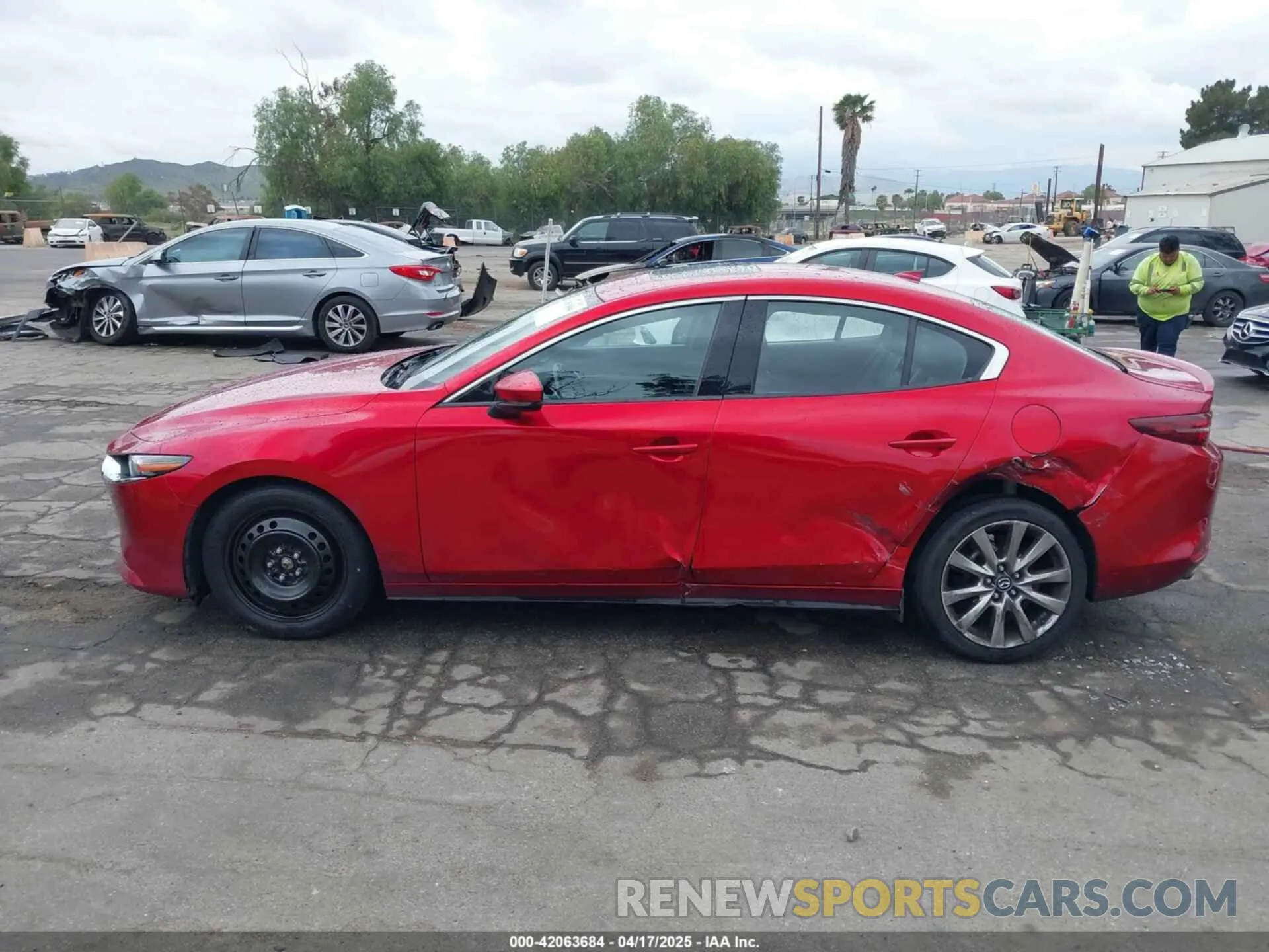 14 Photograph of a damaged car JM1BPBDL6M1305765 MAZDA MAZDA3 2021
