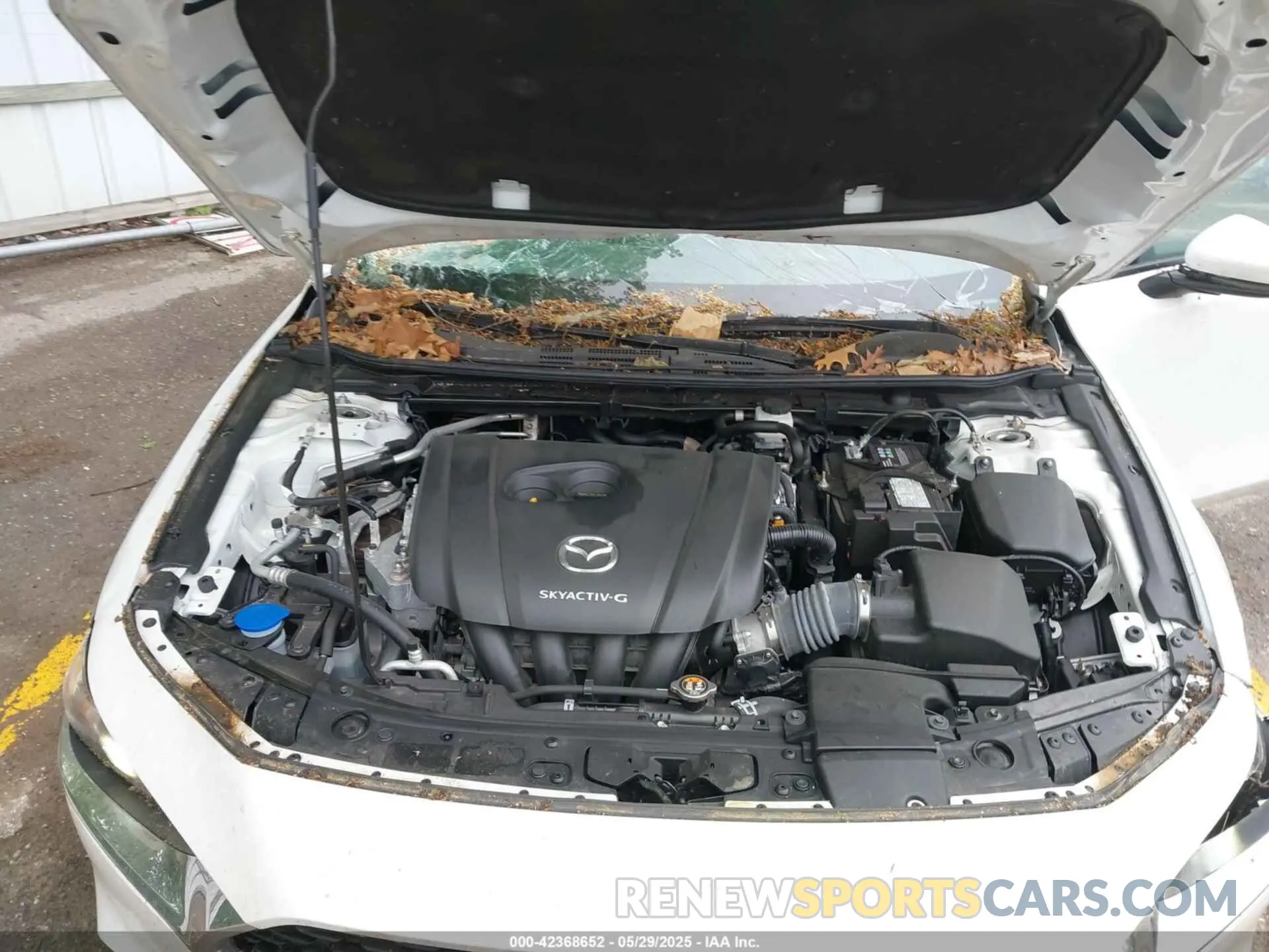 10 Photograph of a damaged car 3MZBPABL5NM315279 MAZDA MAZDA3 2022