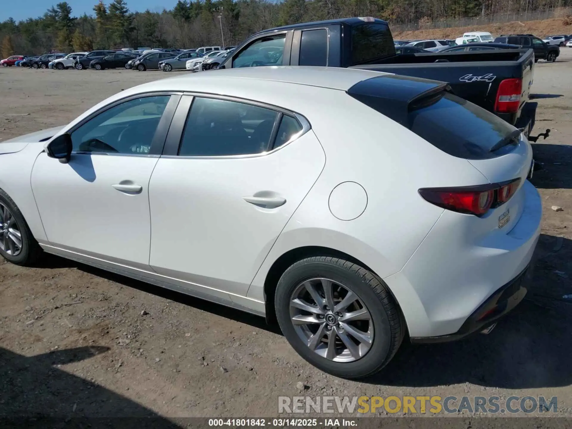 13 Photograph of a damaged car JM1BPAJL5N1516505 MAZDA MAZDA3 2022