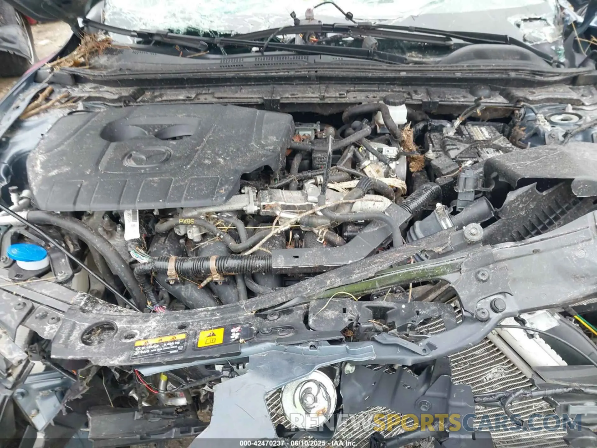 10 Photograph of a damaged car 3MZBPBCM4PM360102 MAZDA MAZDA3 2023