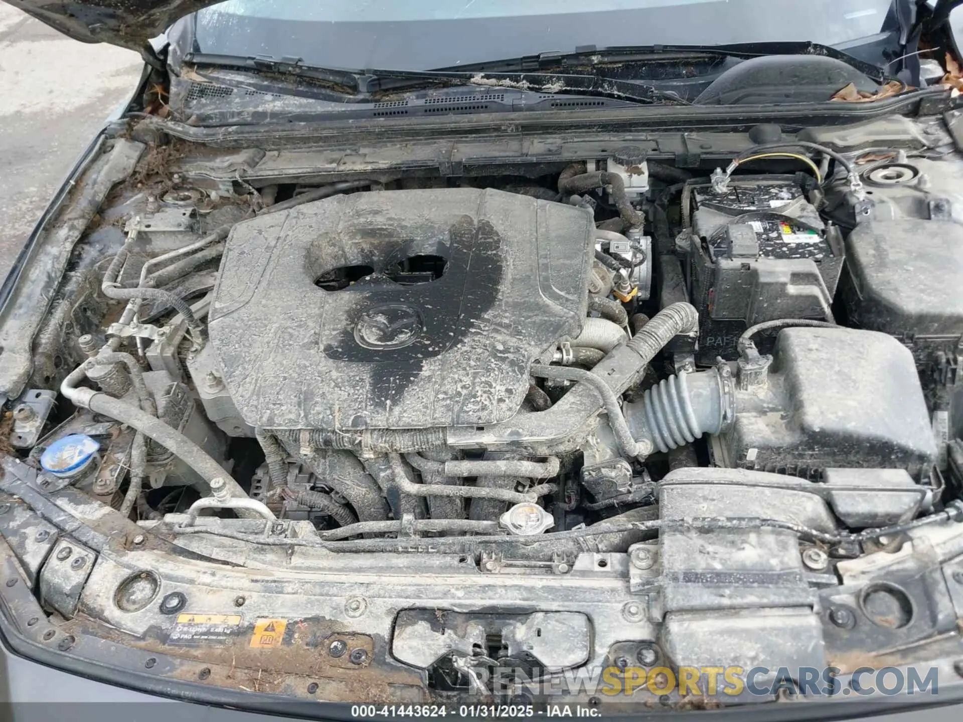 10 Photograph of a damaged car JM1BPAKM5P1616582 MAZDA MAZDA3 2023