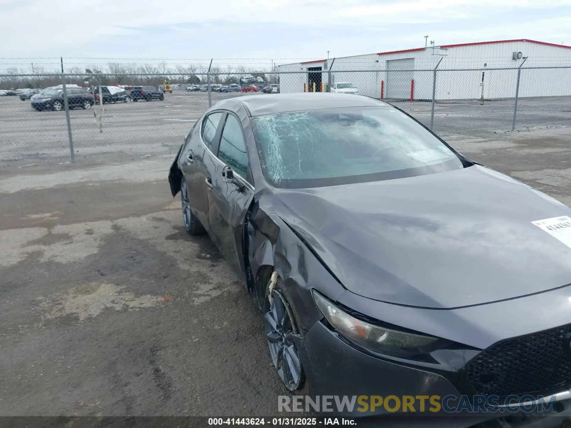 6 Photograph of a damaged car JM1BPAKM5P1616582 MAZDA MAZDA3 2023