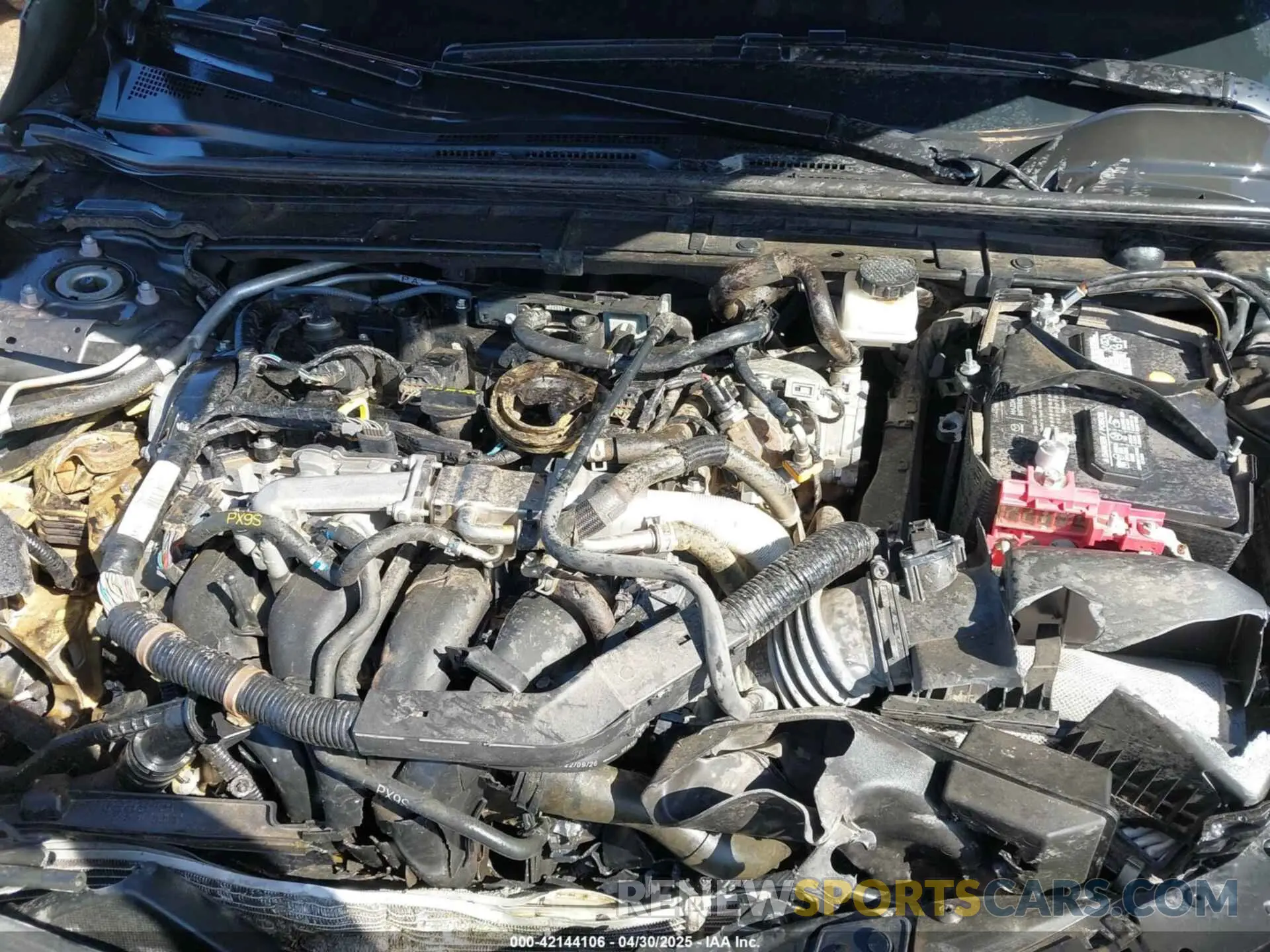 10 Photograph of a damaged car JM1BPALM6P1610353 MAZDA MAZDA3 2023
