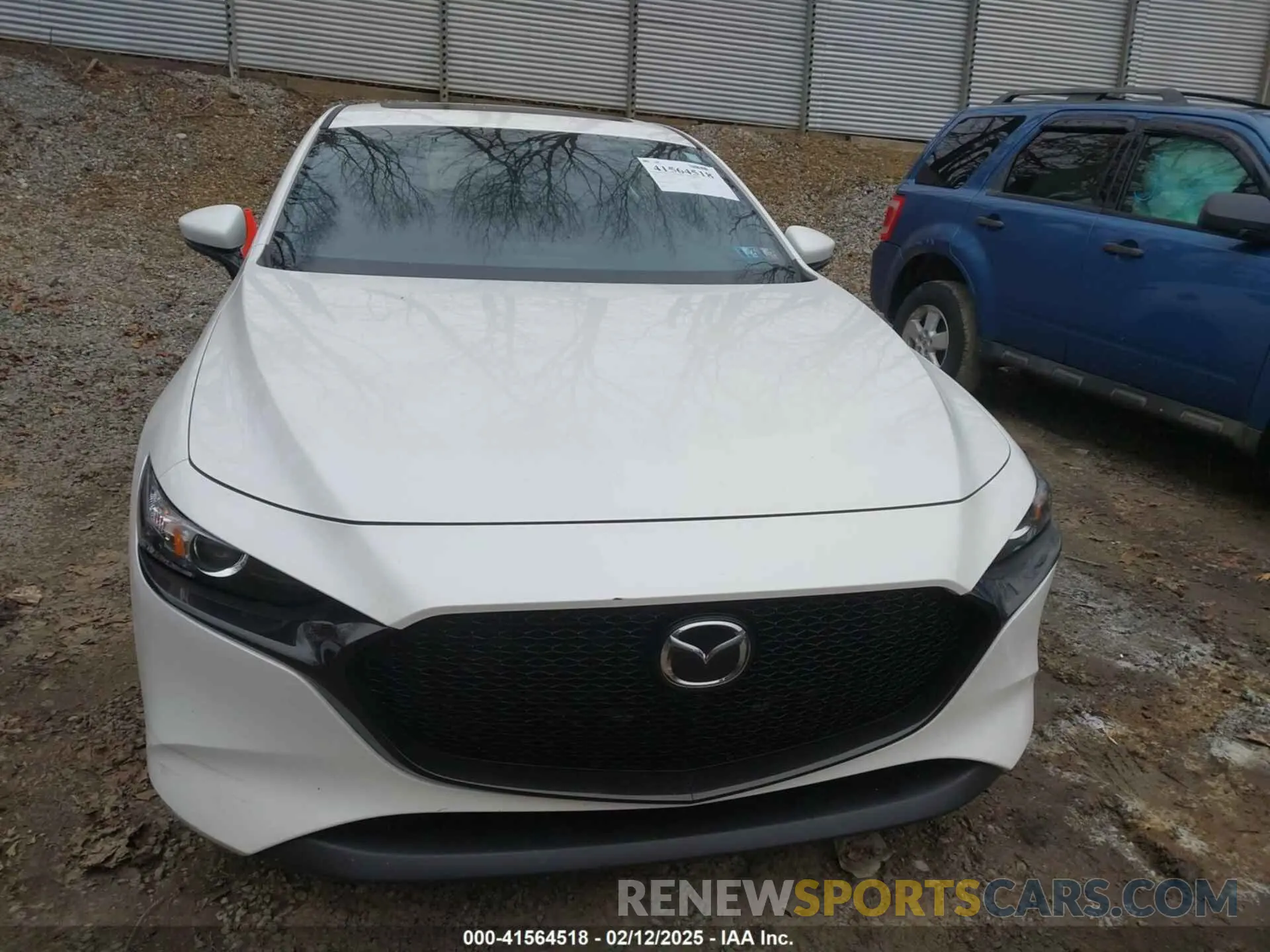 13 Photograph of a damaged car JM1BPALM5R1719017 MAZDA MAZDA3 2024