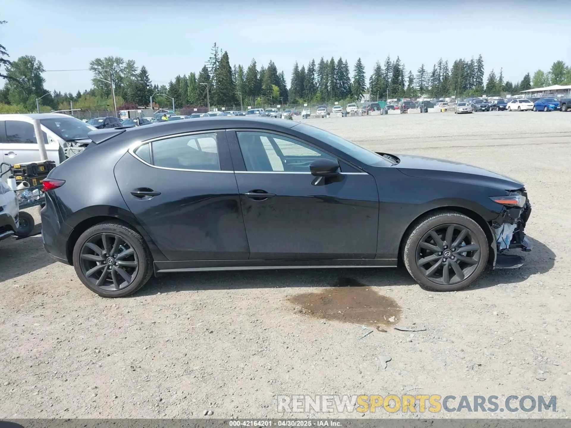 14 Photograph of a damaged car JM1BPBNYXR1710190 MAZDA MAZDA3 HATCHBACK 2024