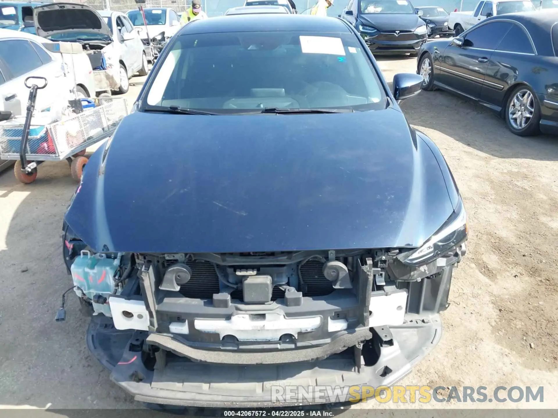 13 Photograph of a damaged car JM1GL1UM3K1506203 MAZDA MAZDA6 2019