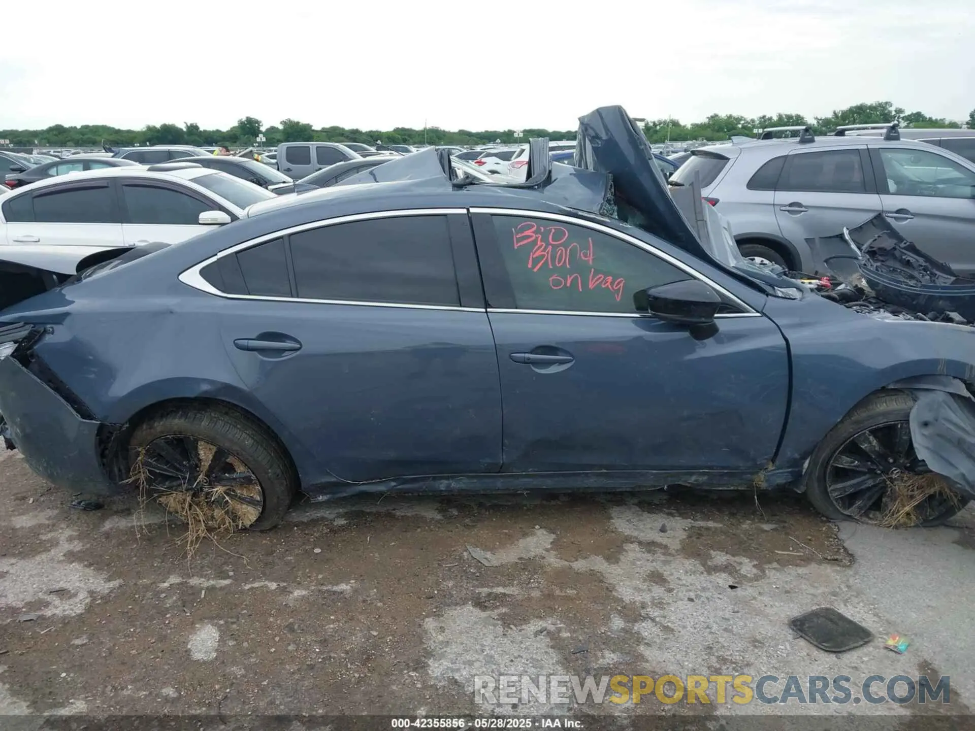 12 Photograph of a damaged car JM1GL1WY4M1601095 MAZDA MAZDA6 2021