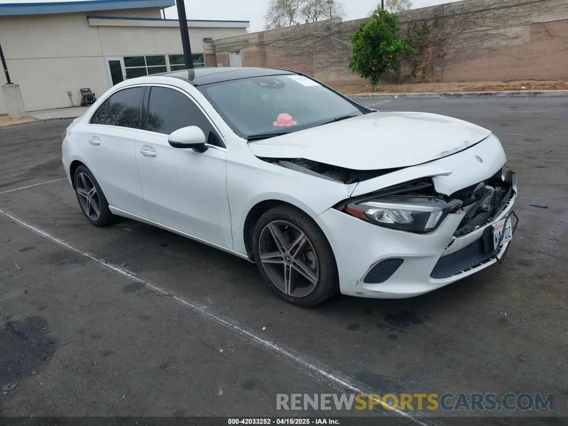 1 Photograph of a damaged car WDD3G4EB3KW027838 MERCEDES-BENZ A 220 2019