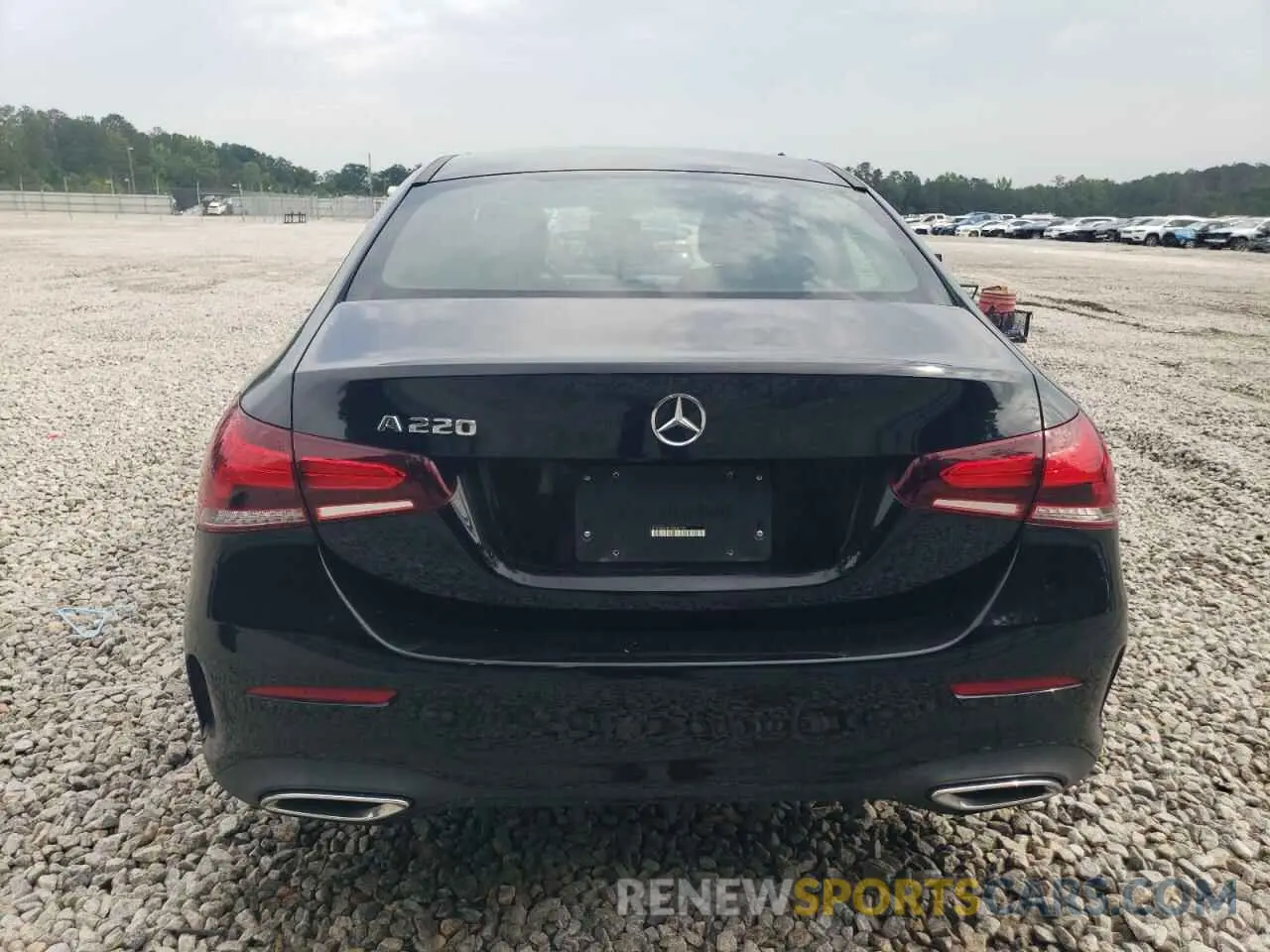 6 Photograph of a damaged car W1K3G4EB7NJ360142 MERCEDES-BENZ A-CLASS 2022