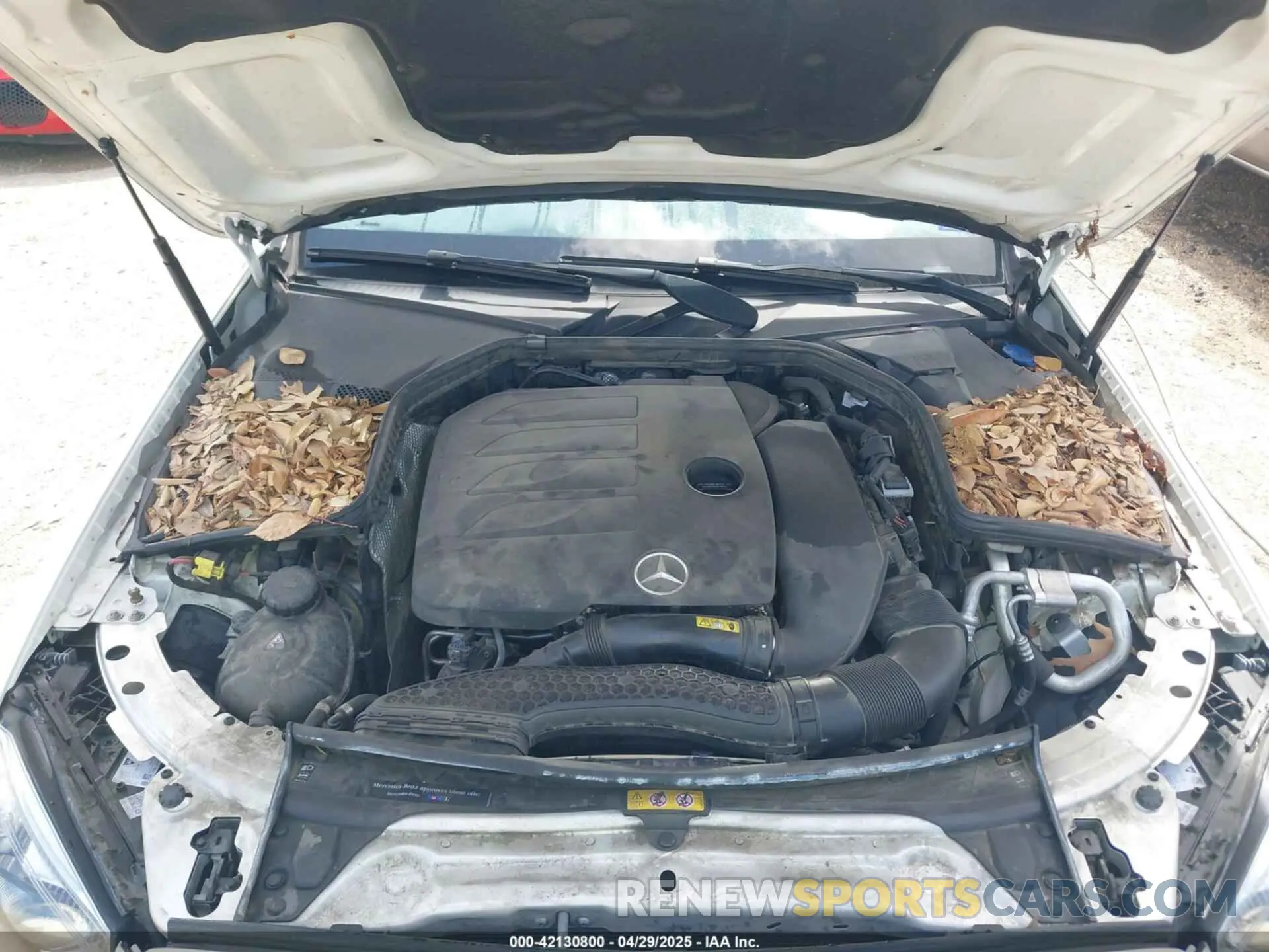 10 Photograph of a damaged car 55SWF8DB7KU319255 MERCEDES-BENZ C 300 2019