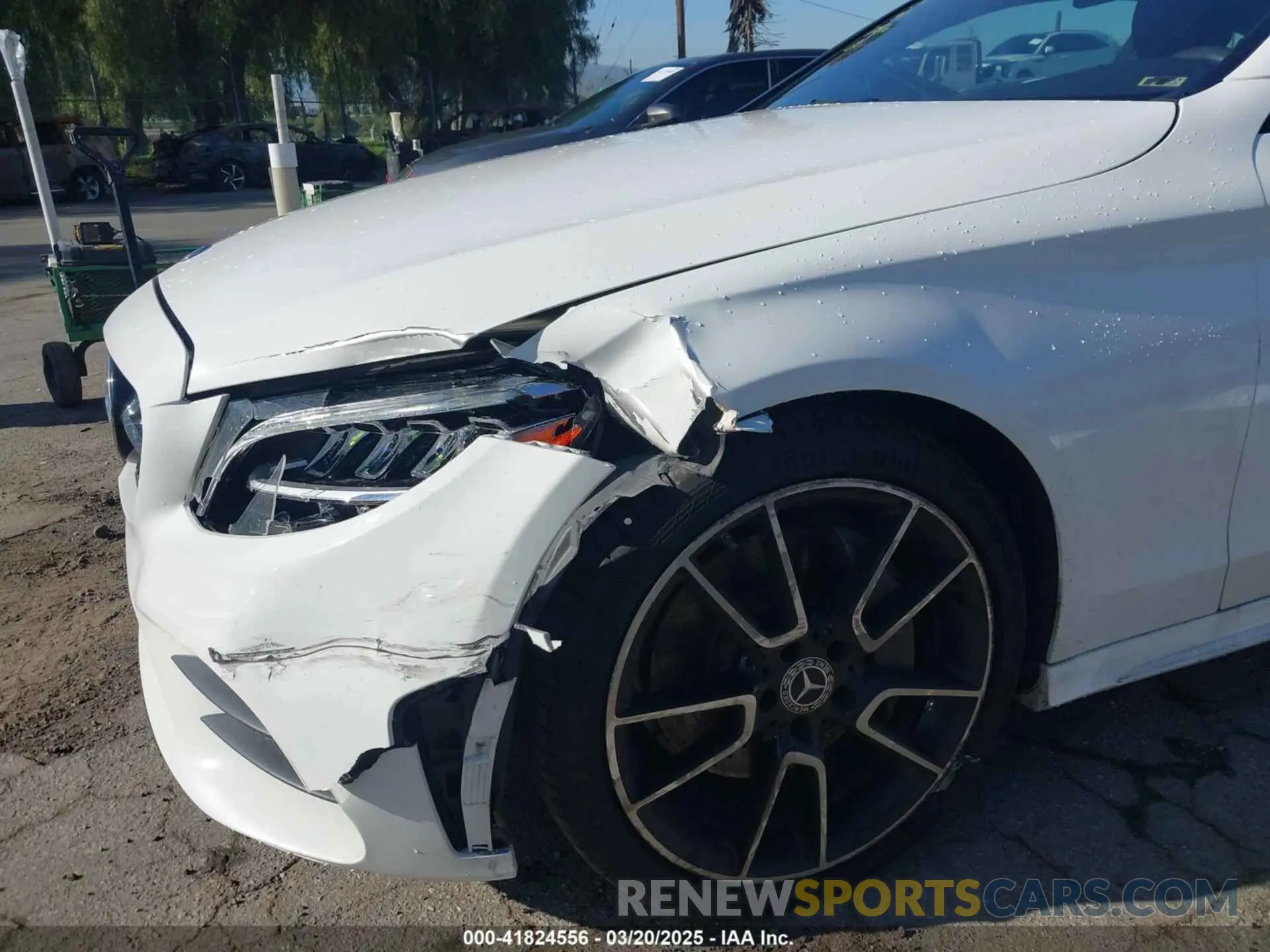 6 Photograph of a damaged car WDDWJ8DB1KF844216 MERCEDES-BENZ C 300 2019